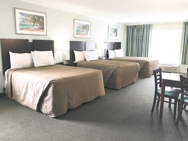 Non-Oceanfront Triple Queen Room  - Photo 1