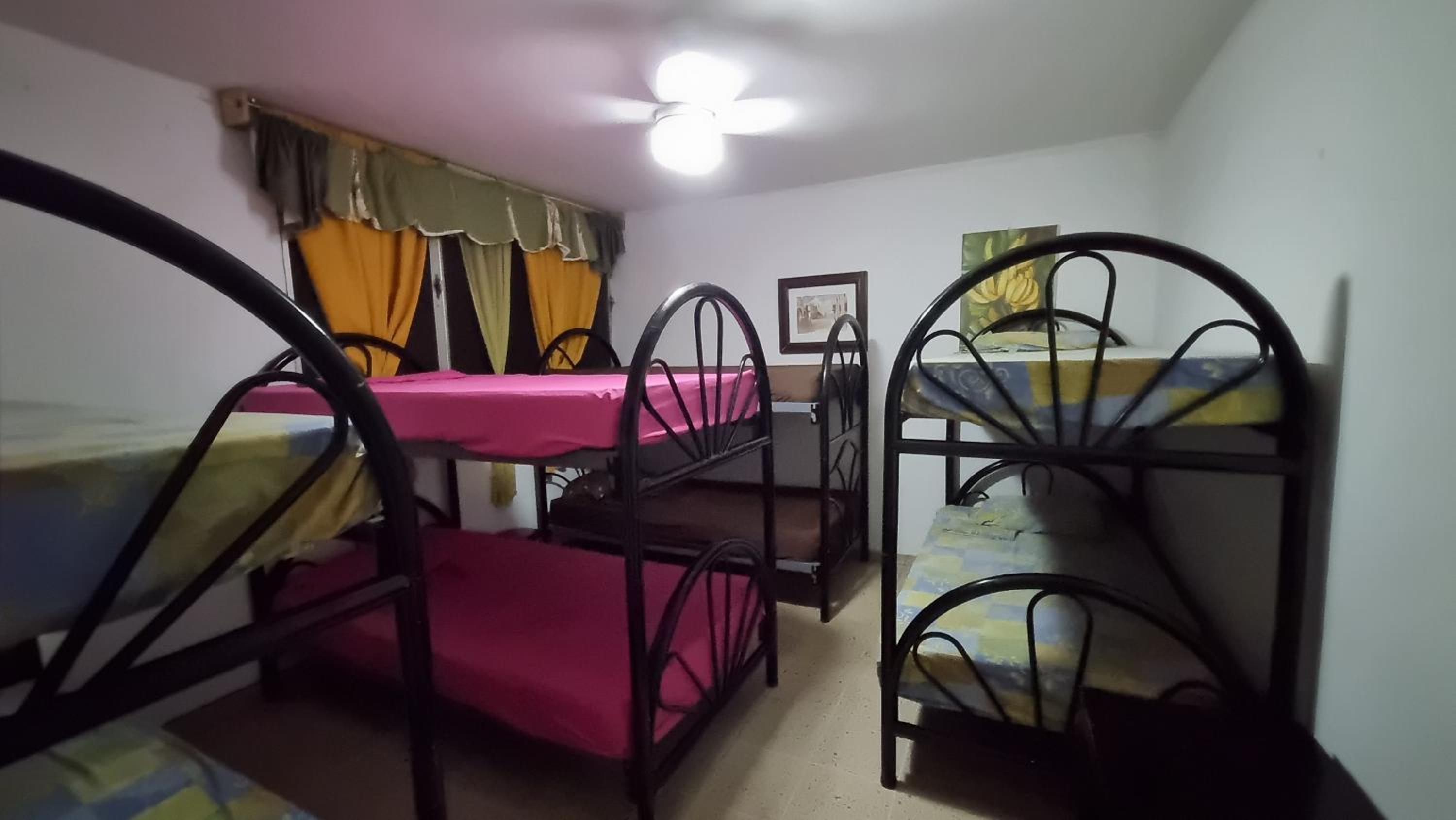 Single Bed in Mixed Dormitory Room photo 1