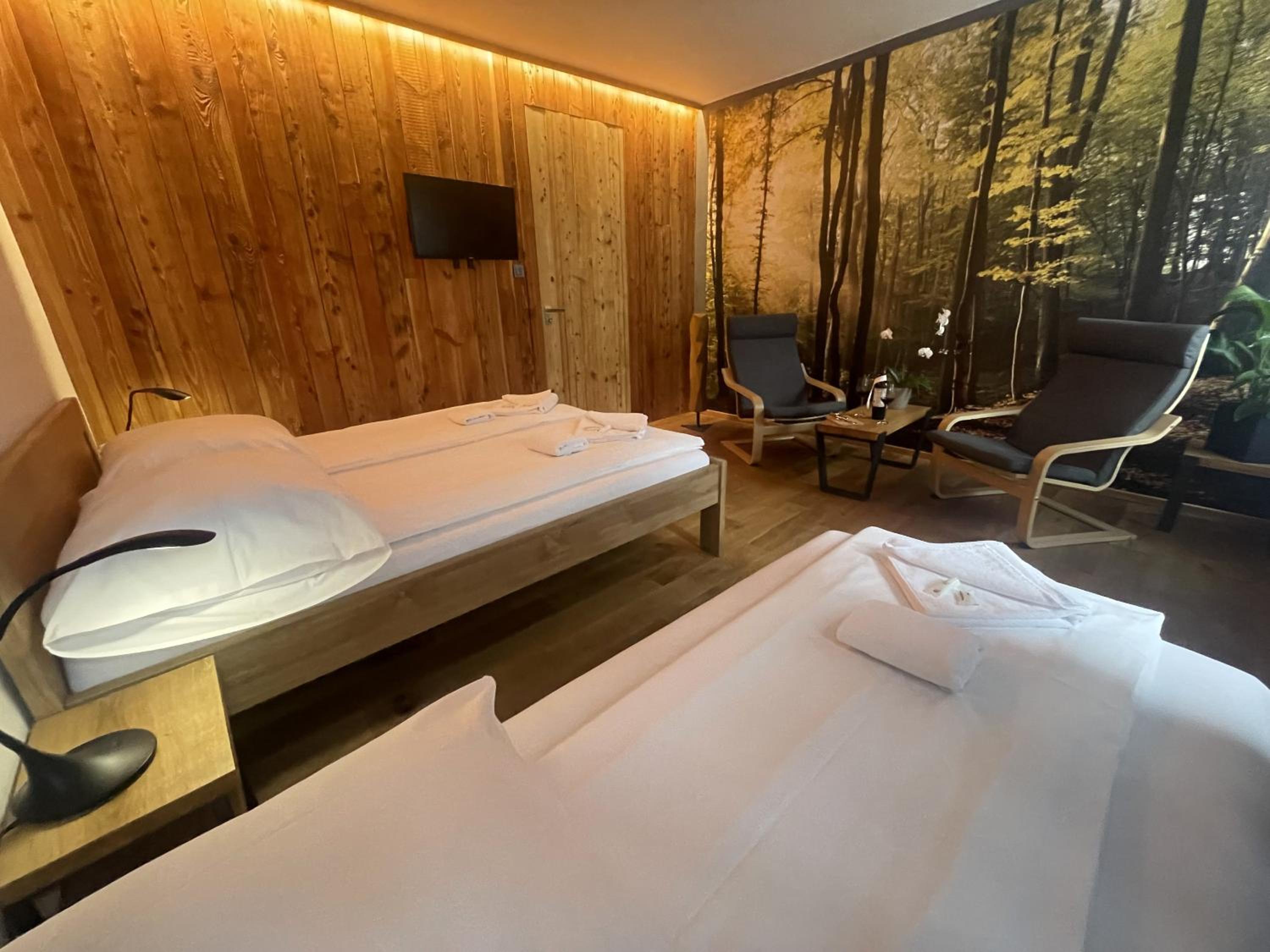 Deluxe Double Room with Extra Bed photo 1