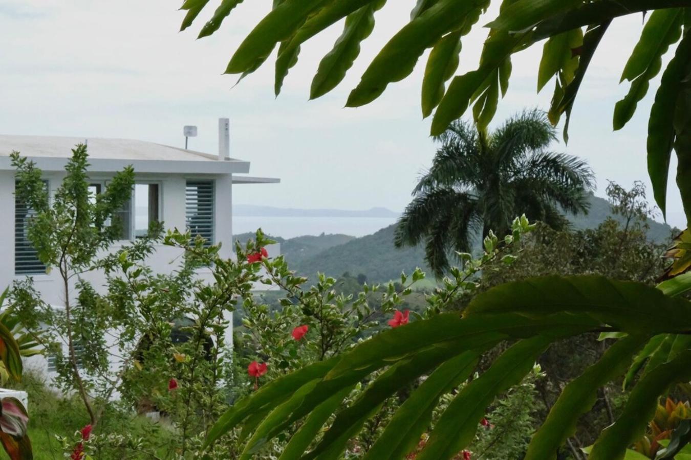 Villa with Private Pool photo 3