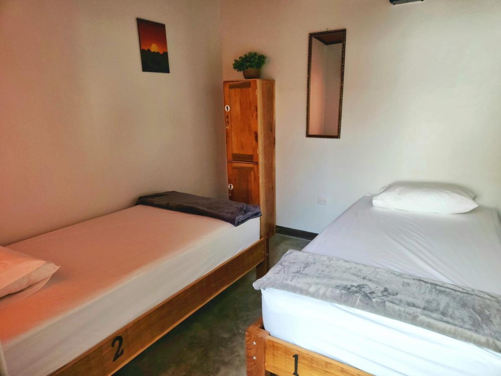 Twin Room photo 3