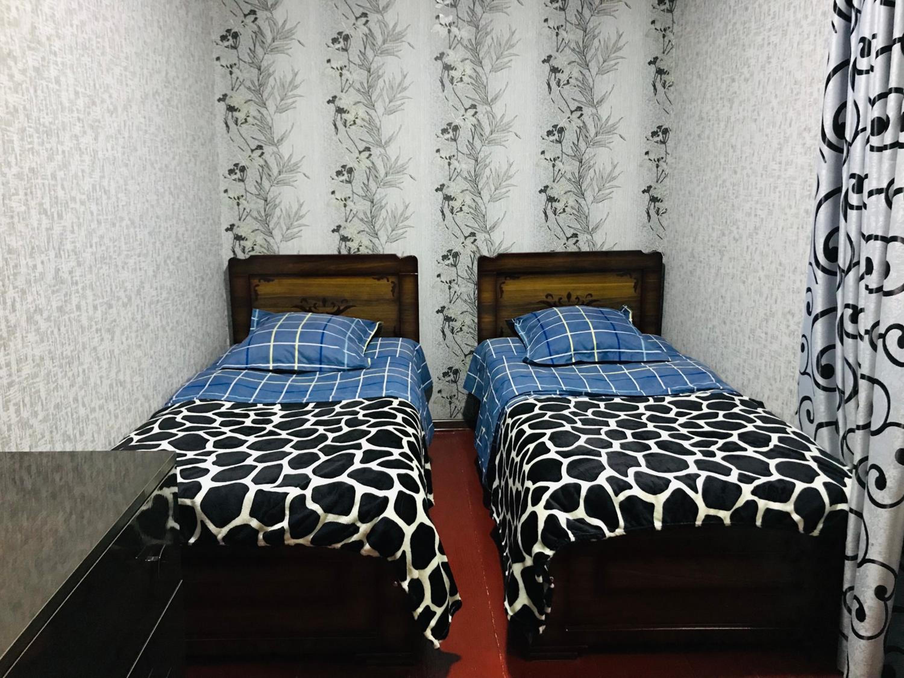 Twin Room photo 2