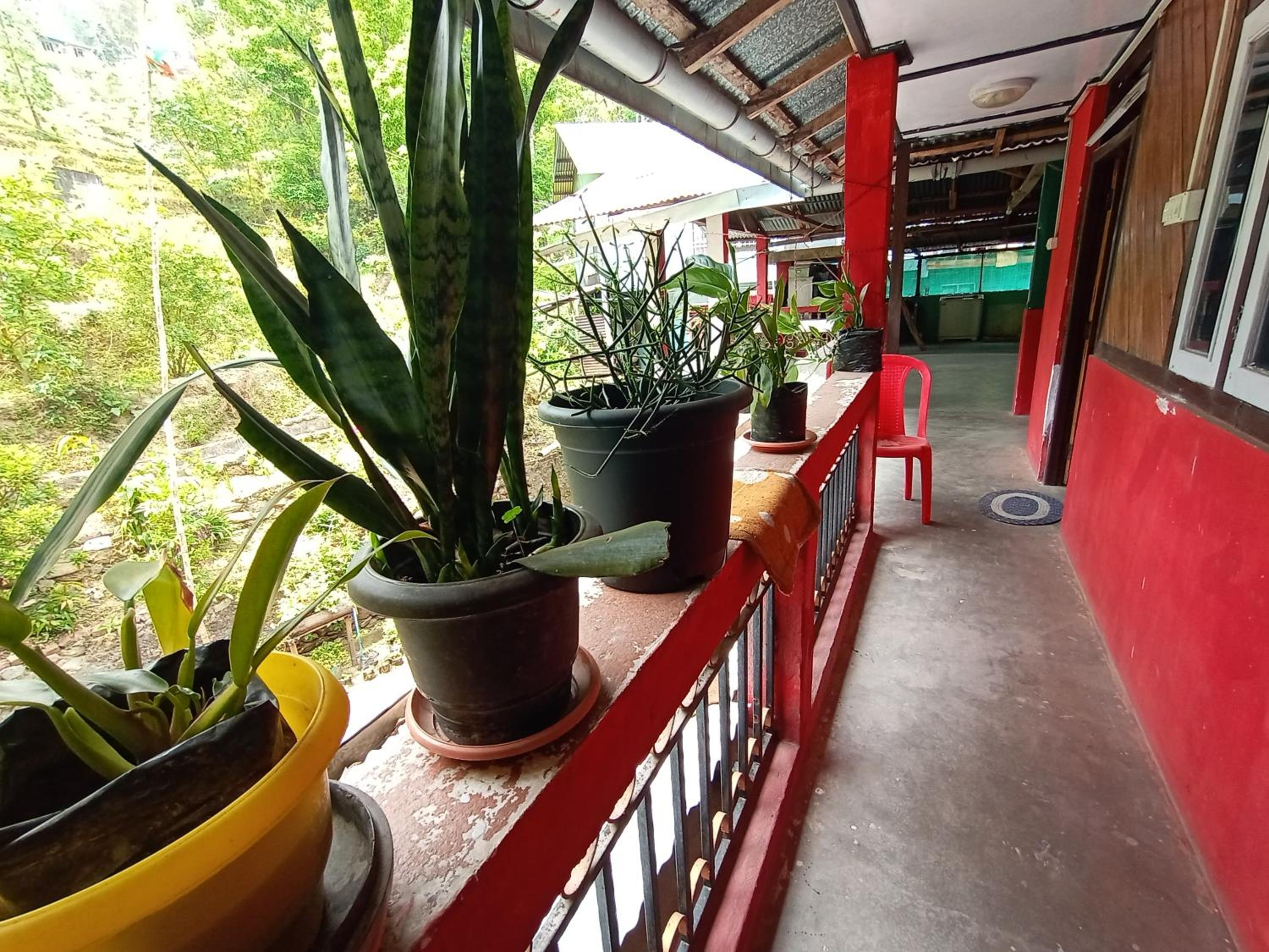 Double Room With Balcony photo 3
