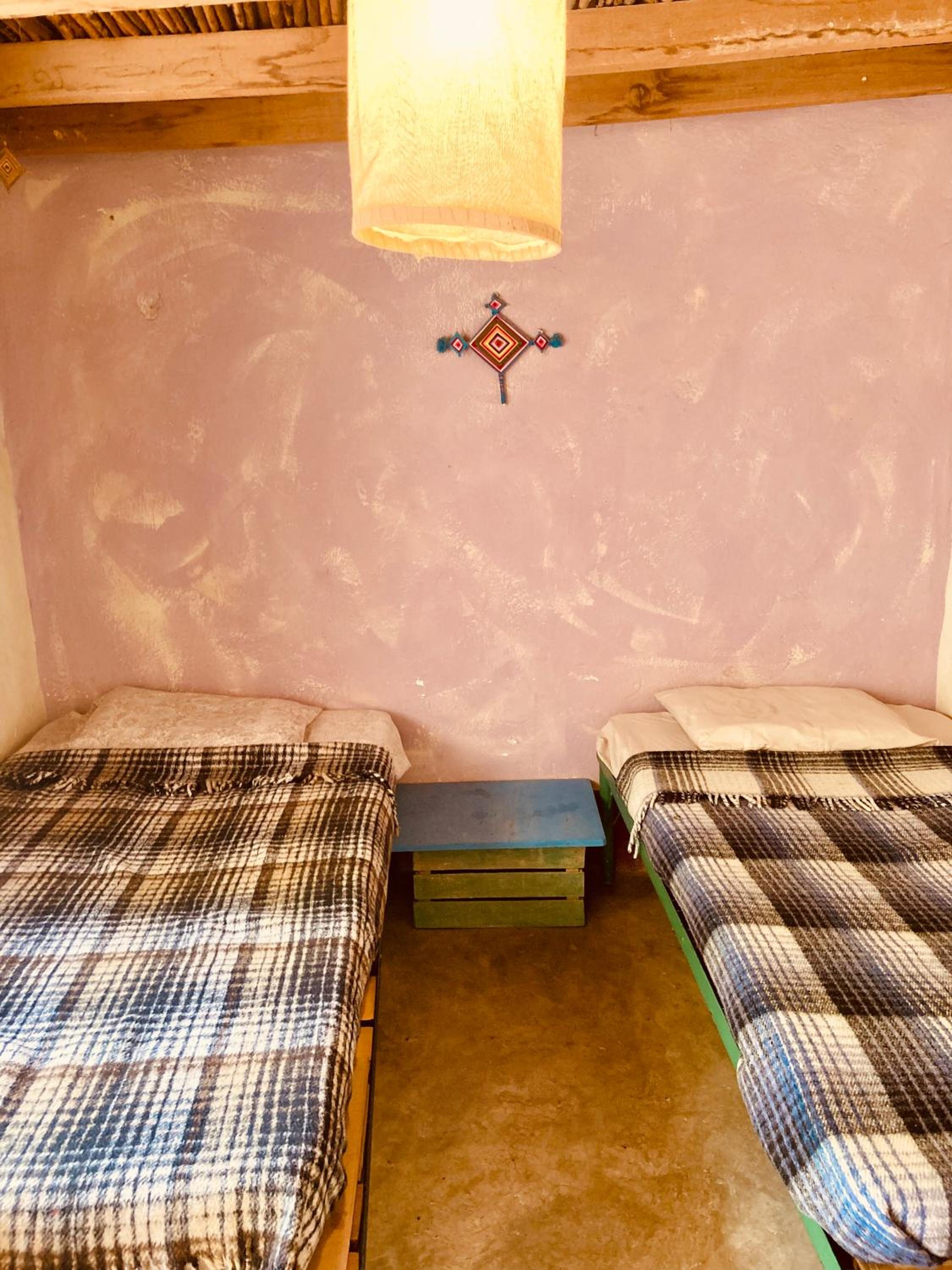 Twin Room photo 1