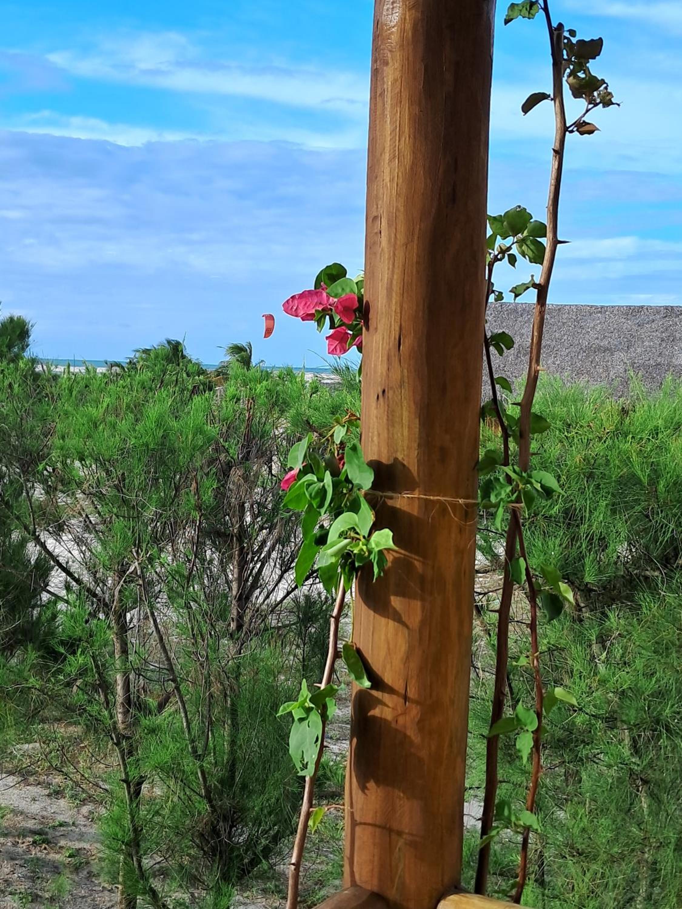Bungalow with Sea View photo 2