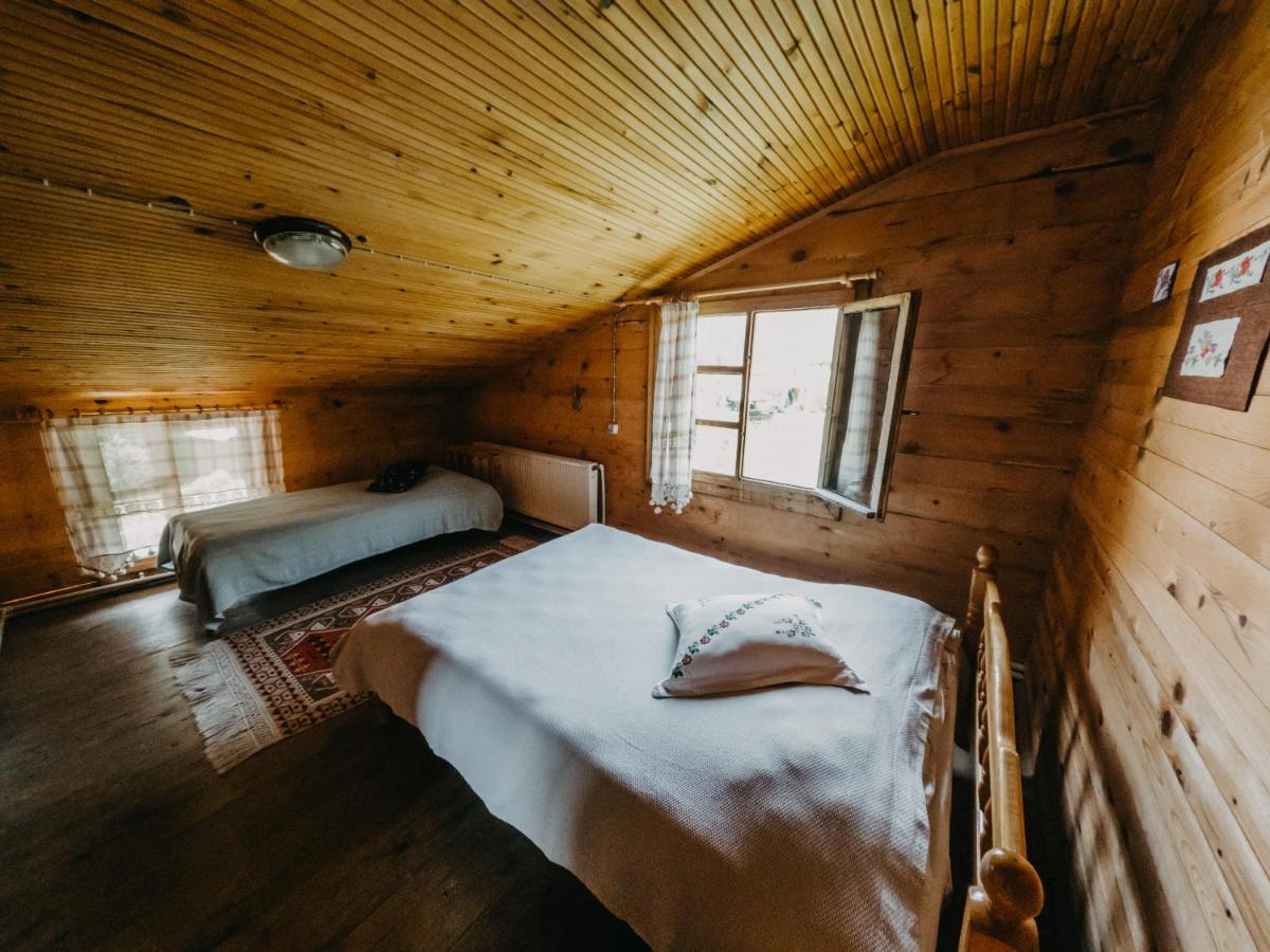 Triple Room with Mountain View photo 1