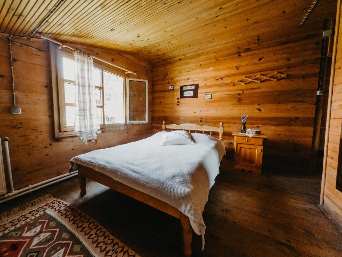 Triple Room with Mountain View photo 3