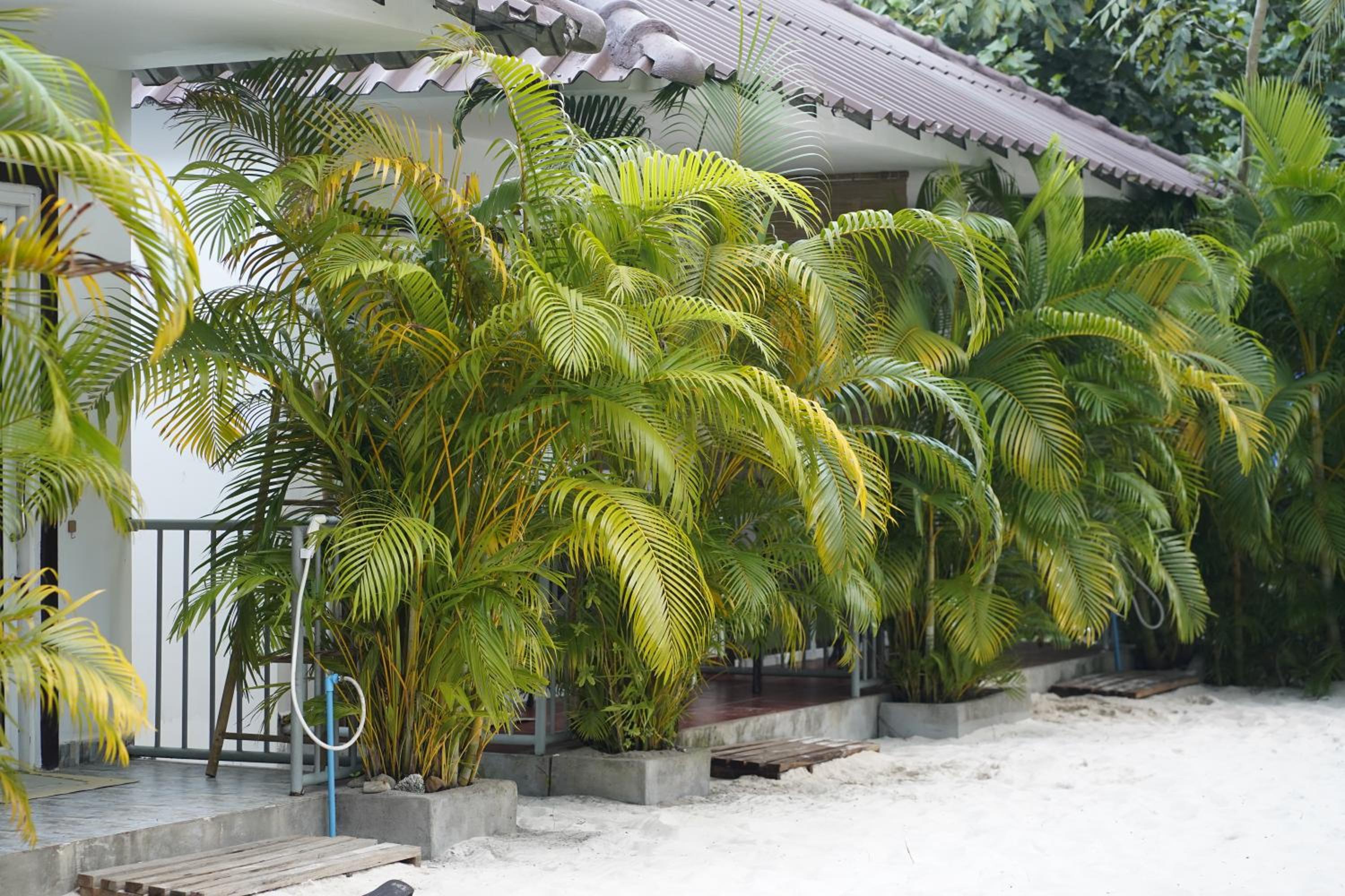 Family Bungalow - Photo 10