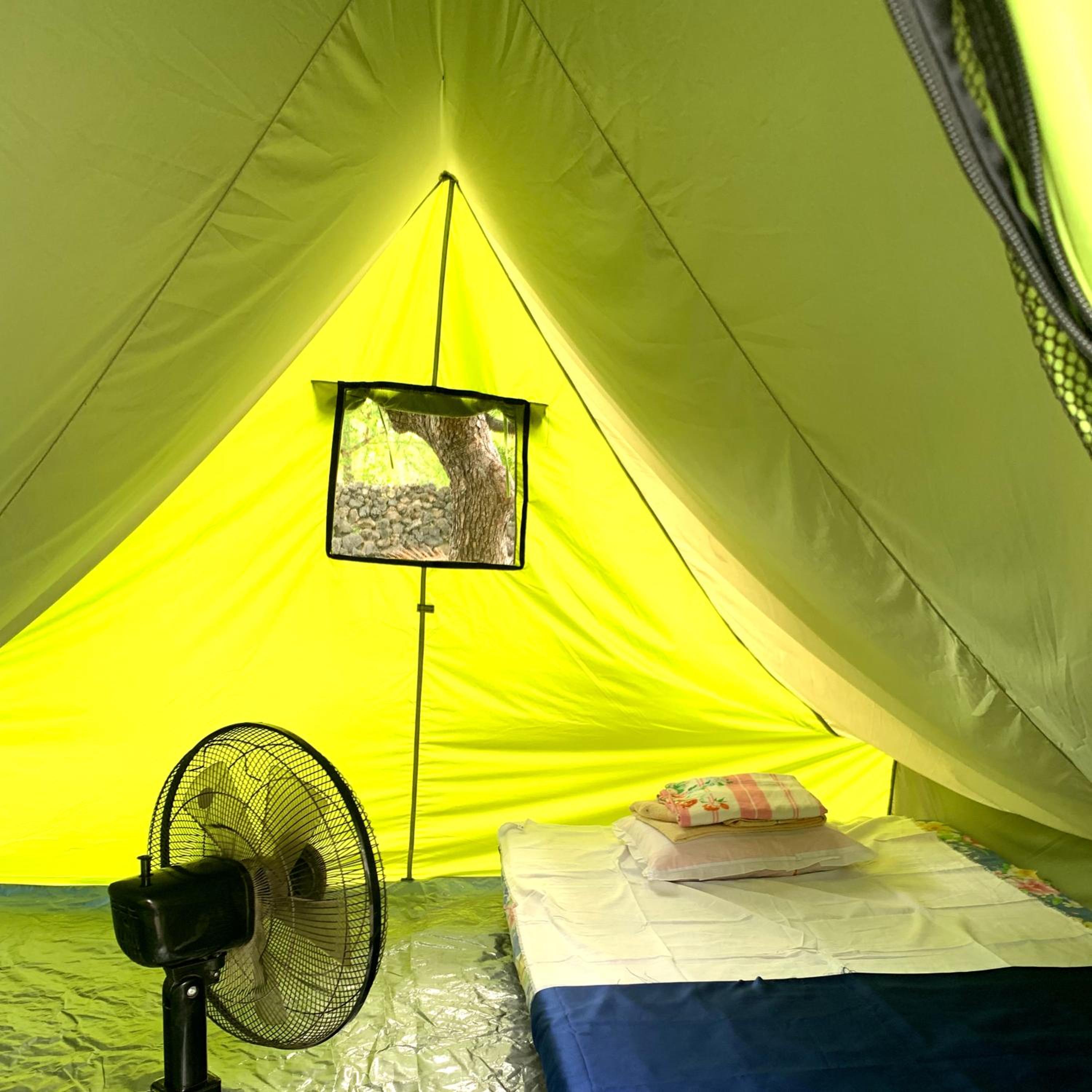 Bed In 4-Bed Mixed Dormitory Room