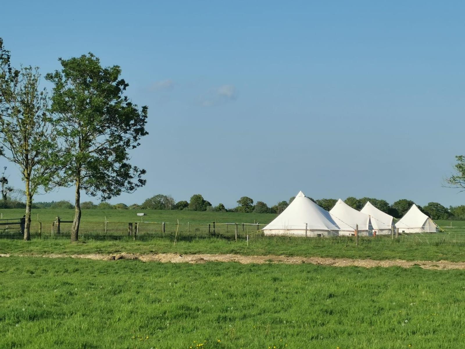 Tent photo 3