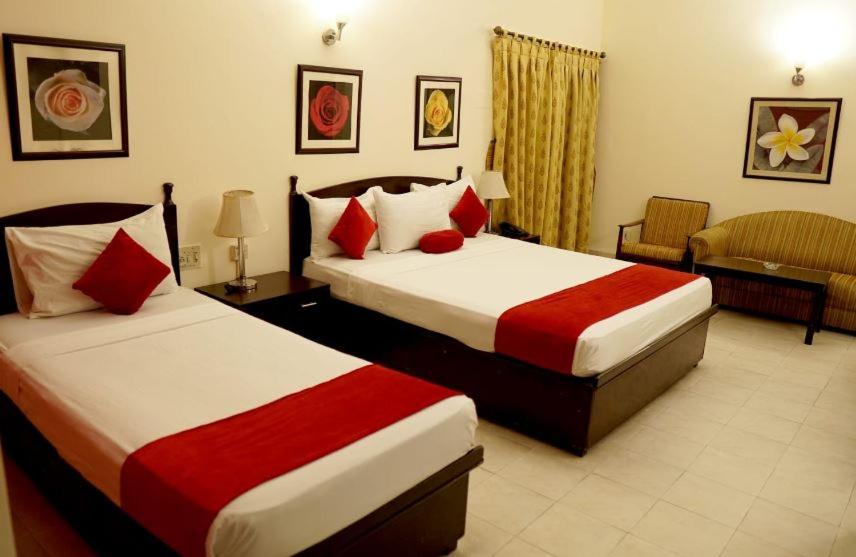 Premium Quadruple Room