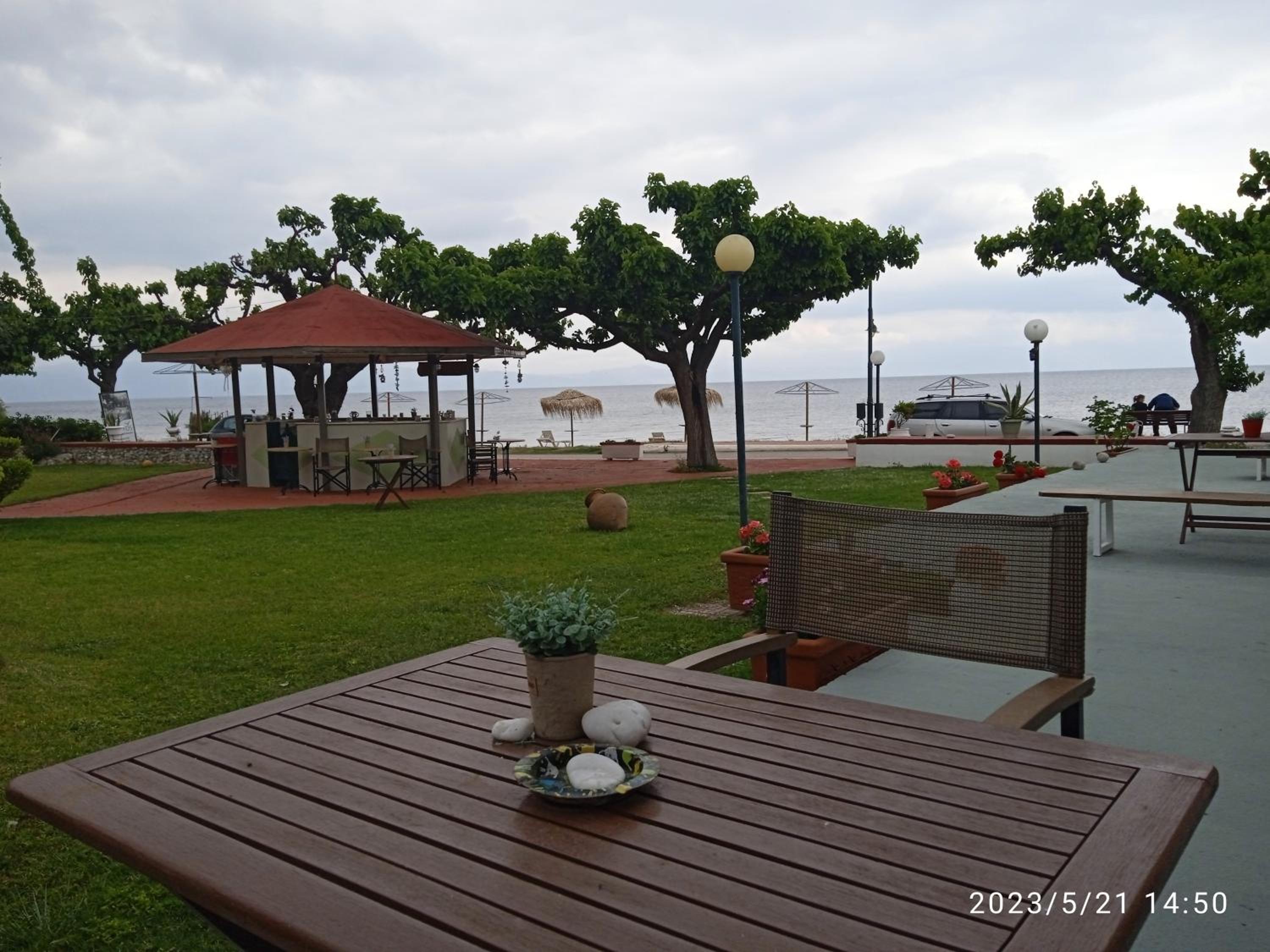 Apartment with Terrace photo 2