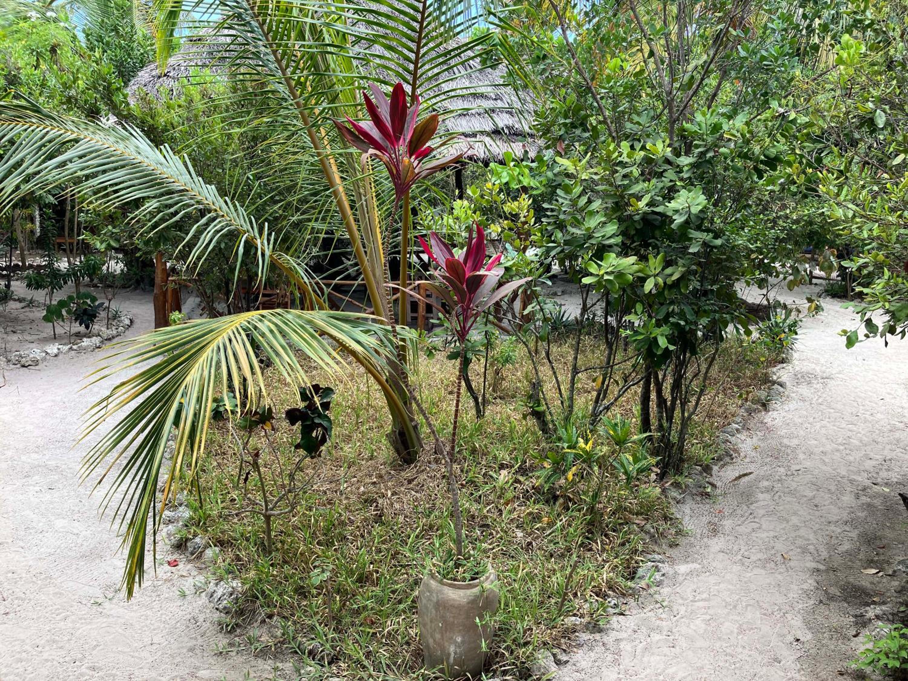 Bungalow with Garden view (5)