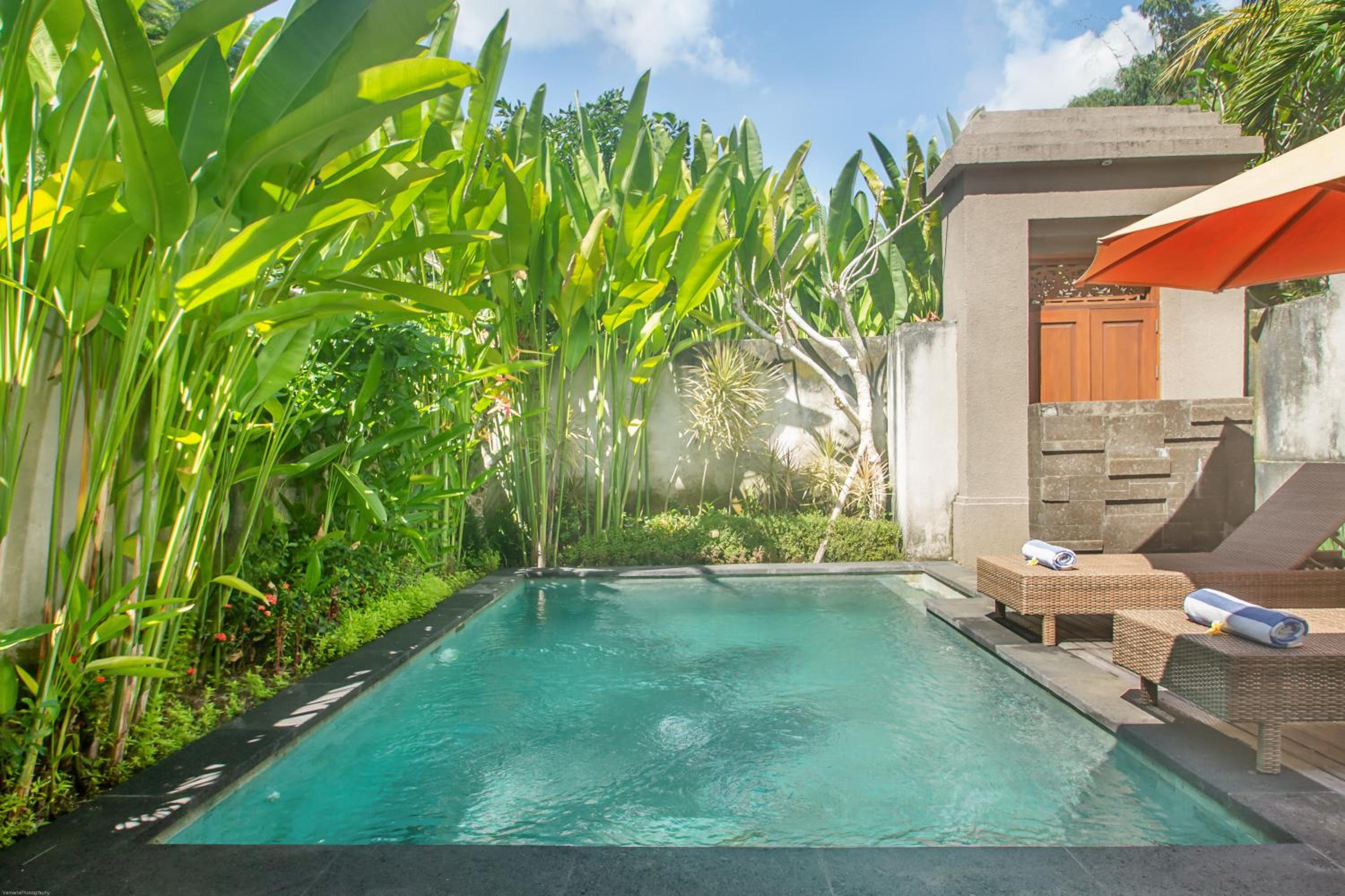 One-Bedroom Villa - Photo 6