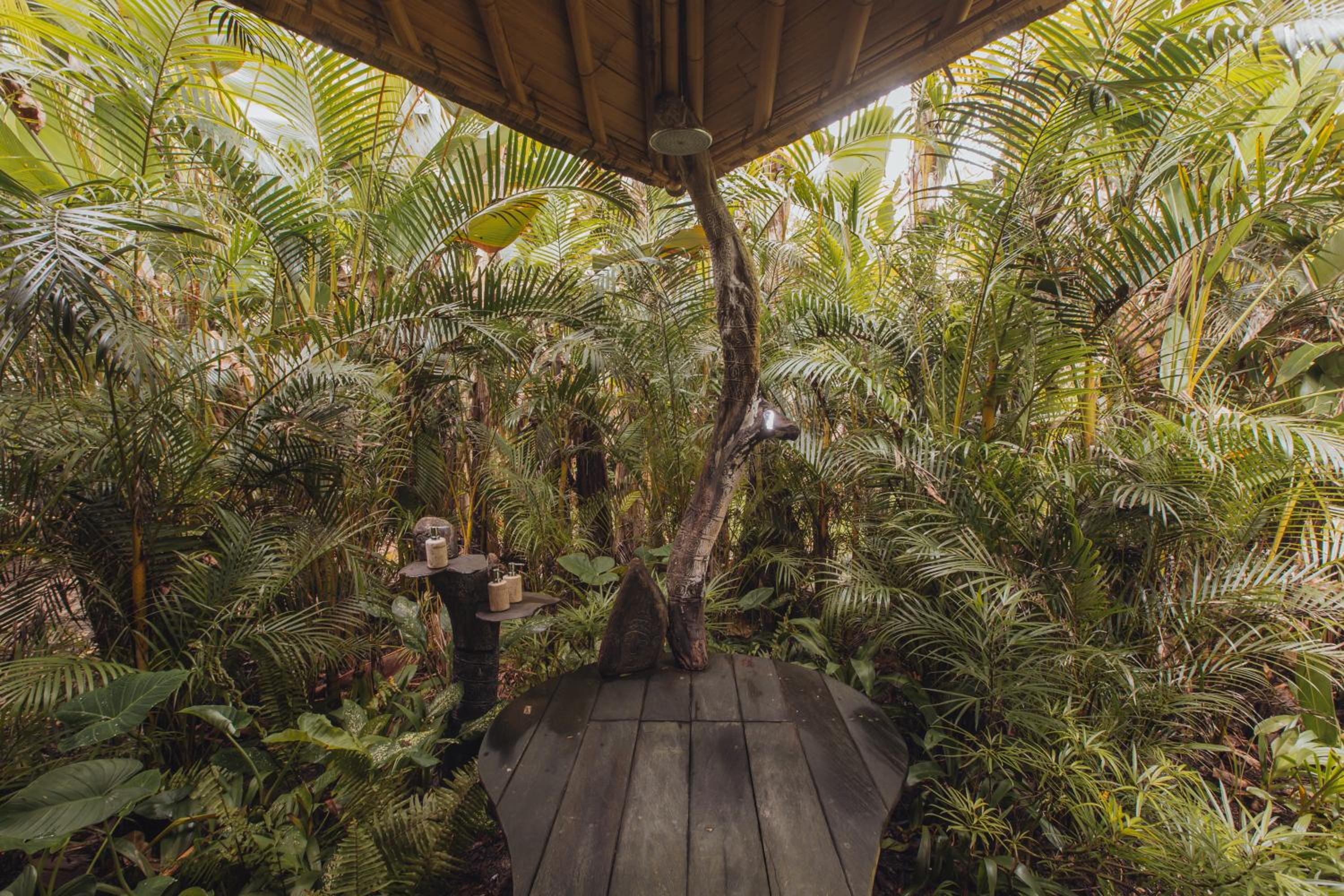 Hideout Falcon - Photo 9