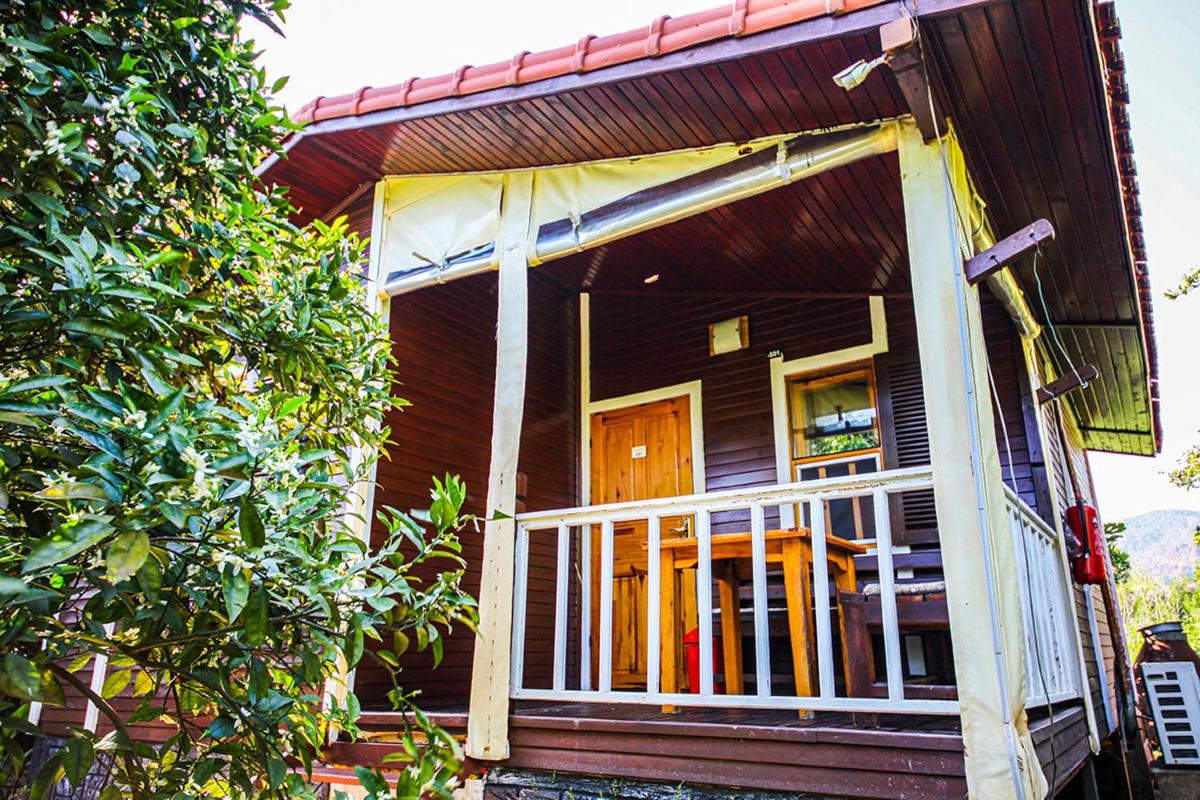 Family Bungalow - Photo 12