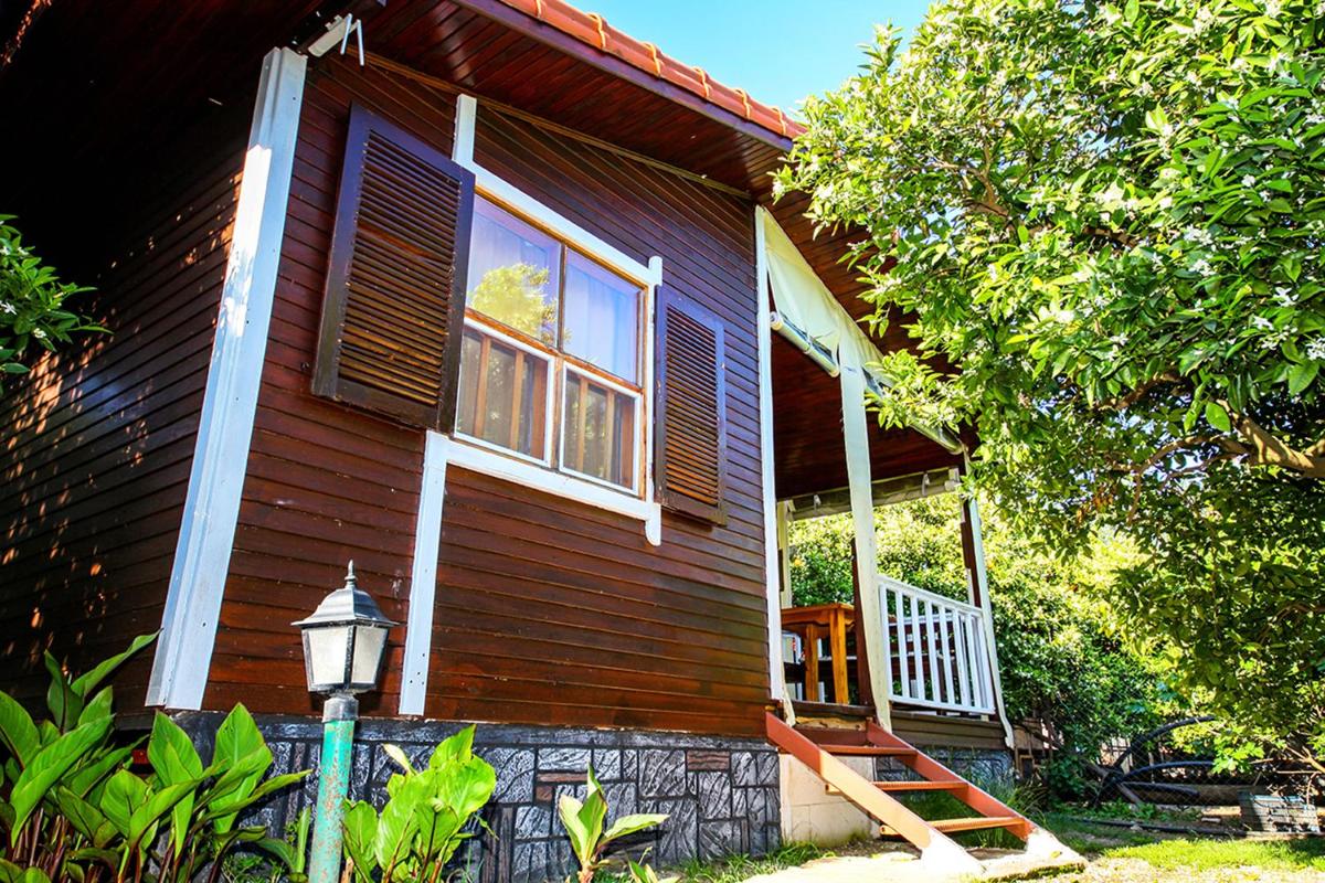 Family Bungalow - Photo 13