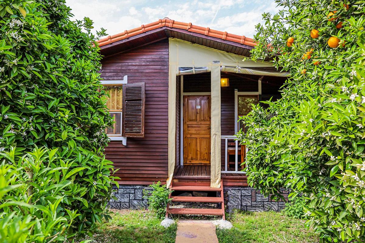 Family Bungalow - Photo 14