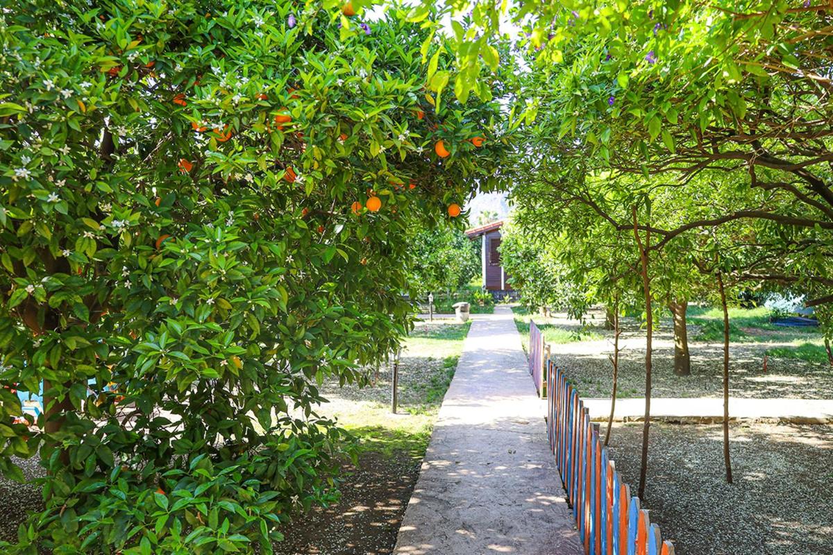 Family Bungalow - Photo 29
