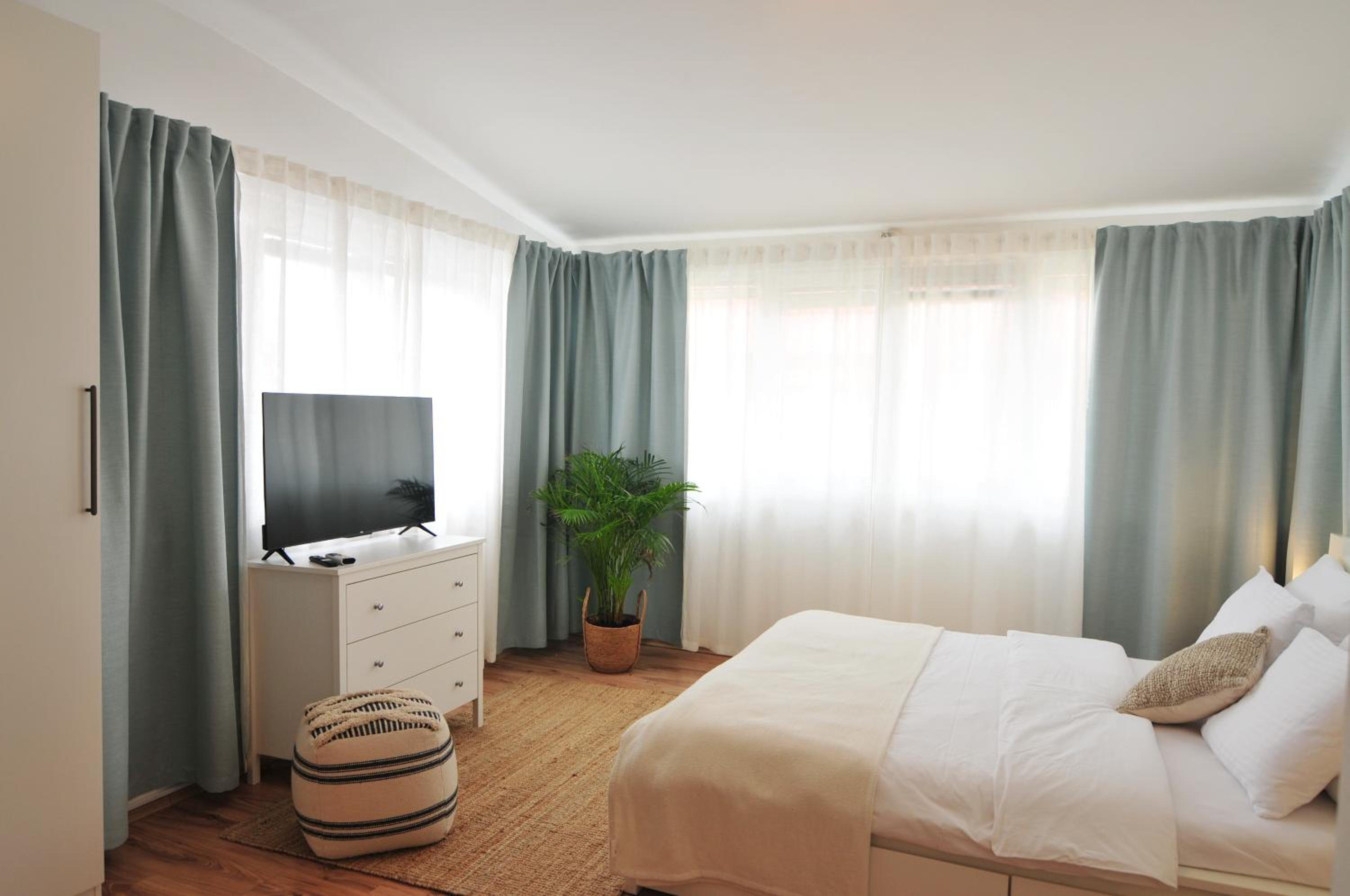 Studio with Terrace photo 1