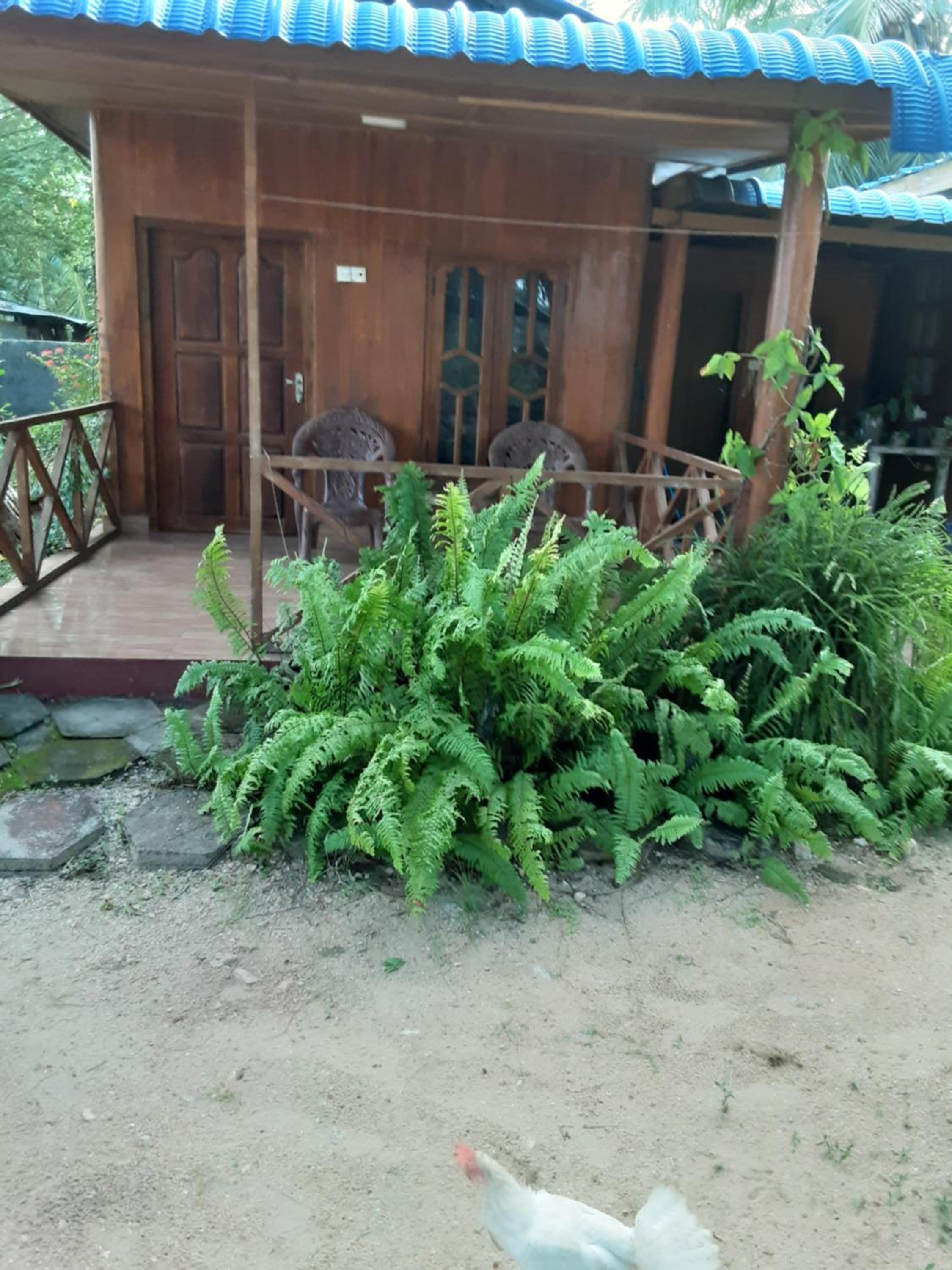 Chalet photo 1