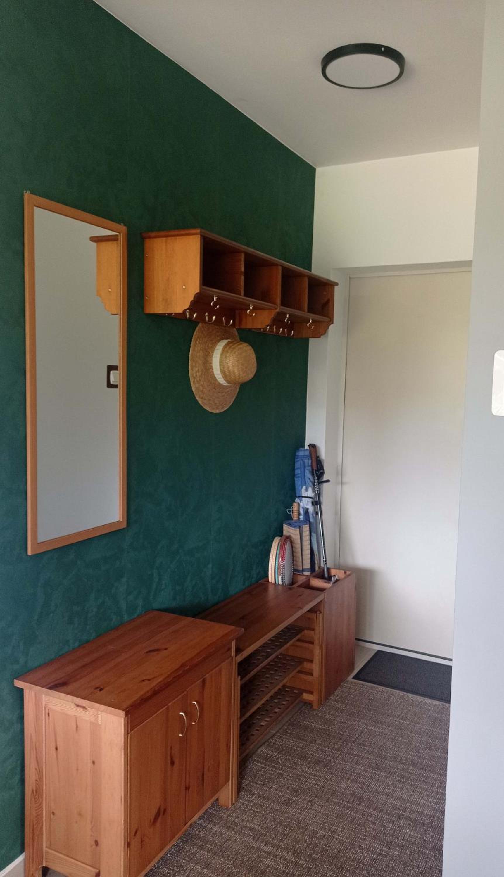 Three-Bedroom House photo 3