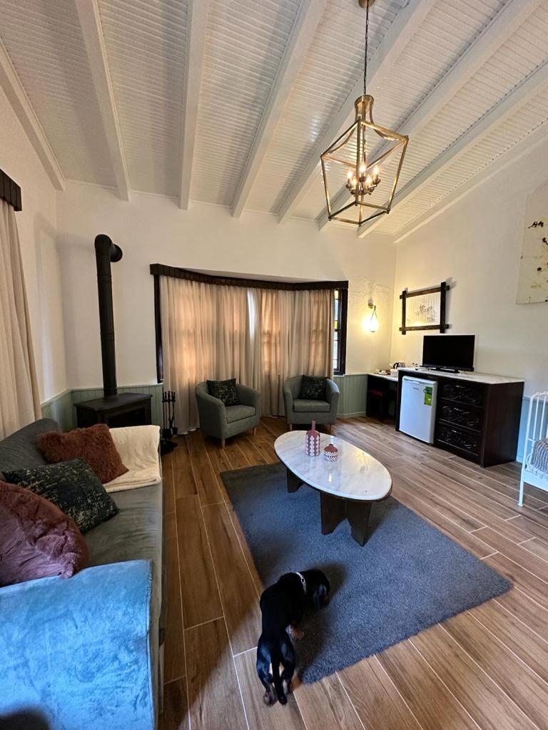 Suite photo 3
