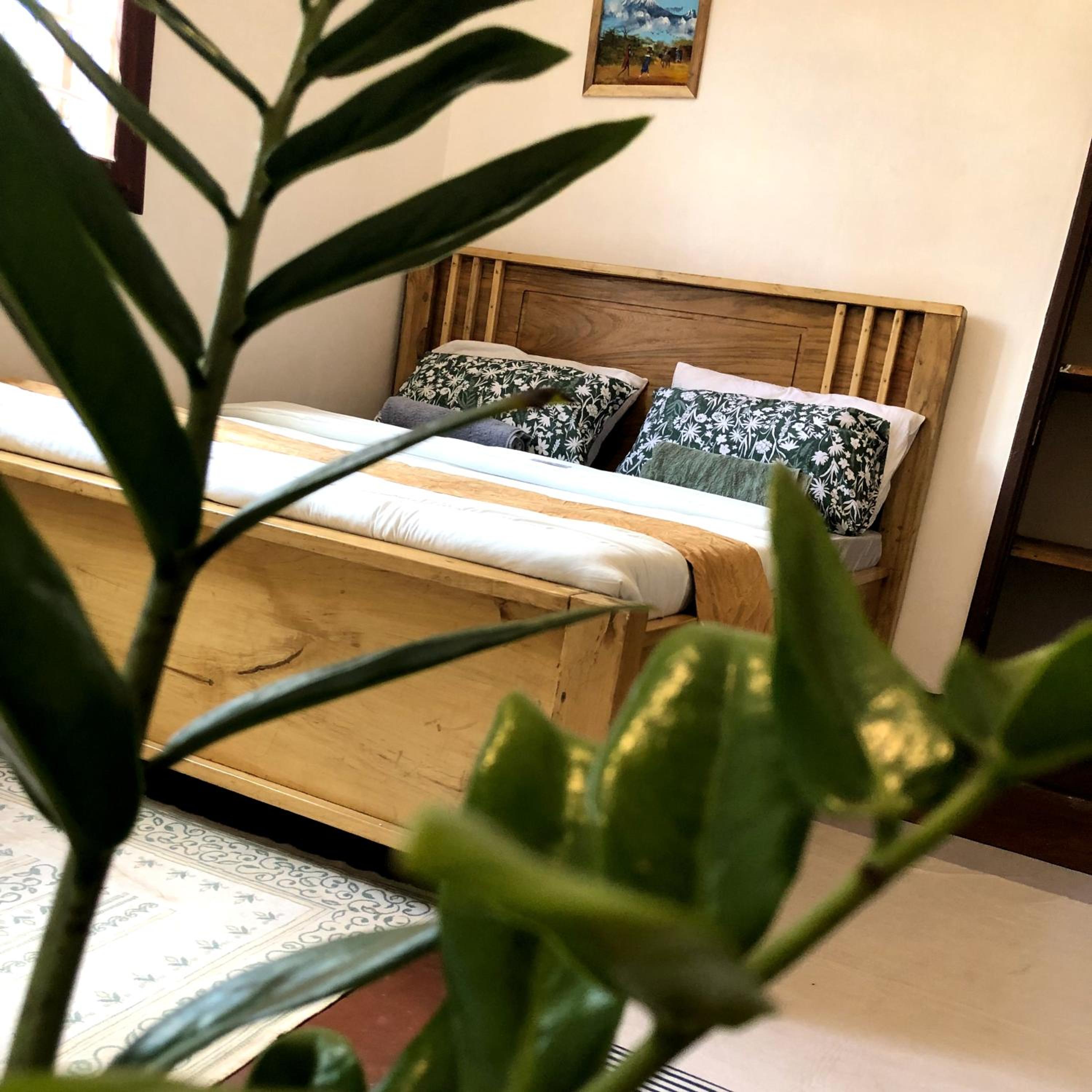 Double Room with Shared Bathroom