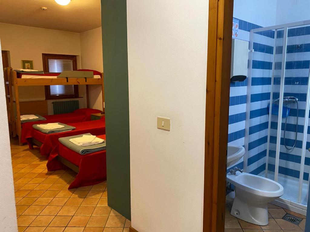 Single Bed in Female Dormitory Room photo 3