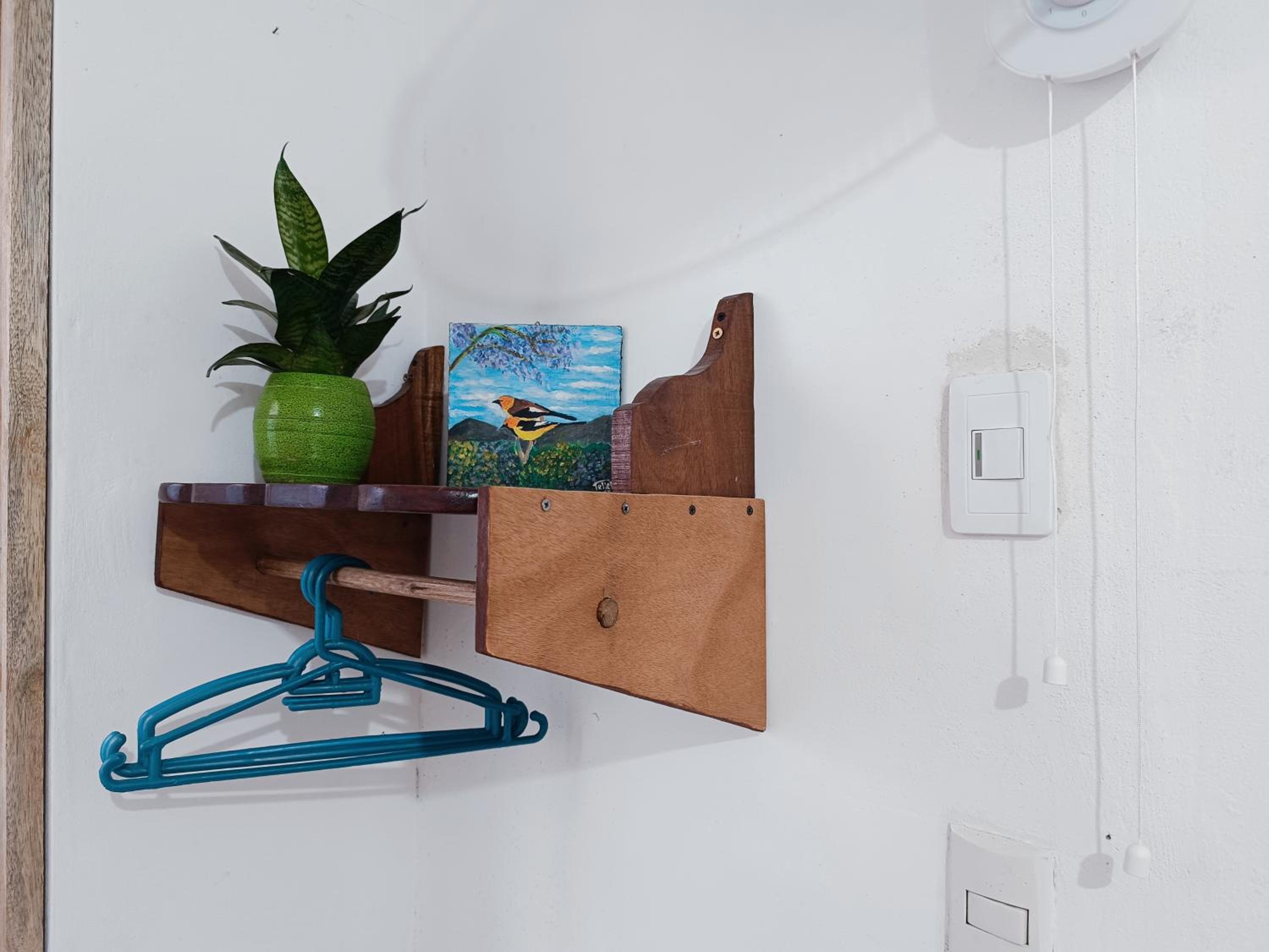 Single Room photo 2