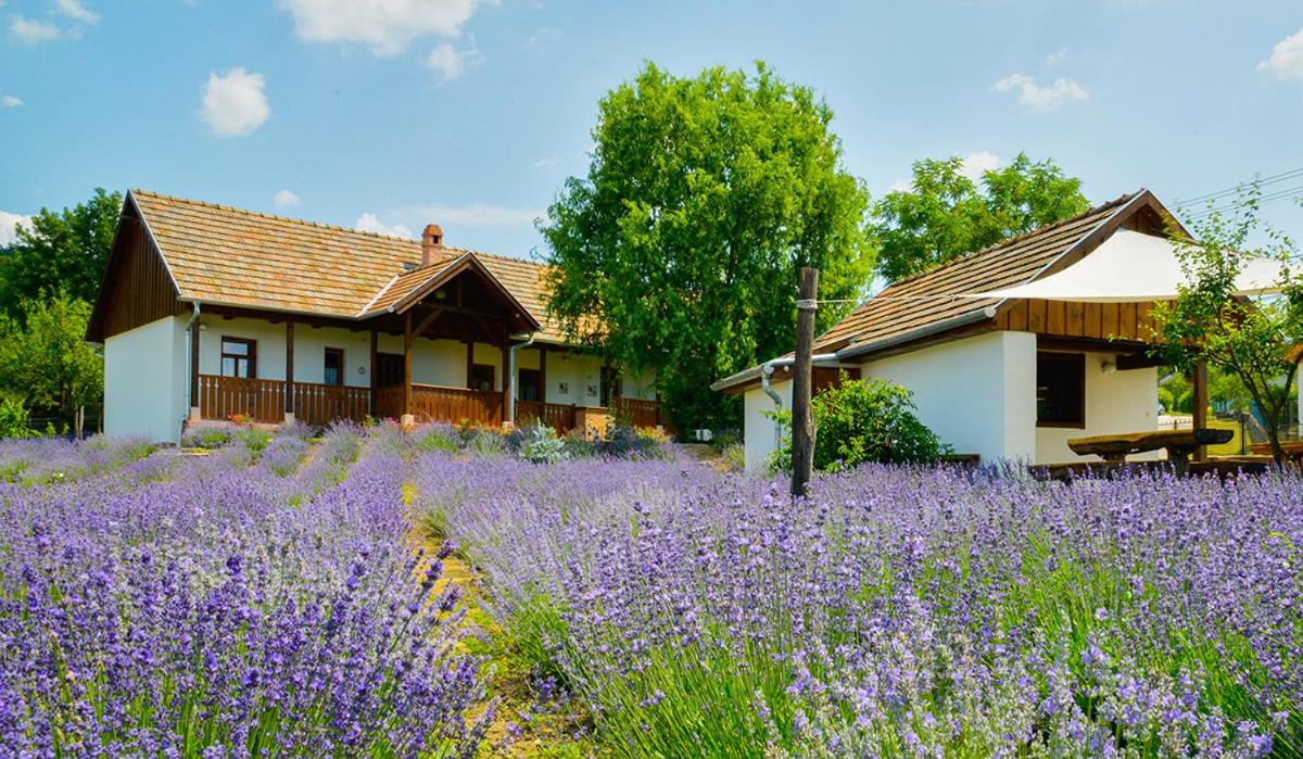 Lavender Cottage photo 2