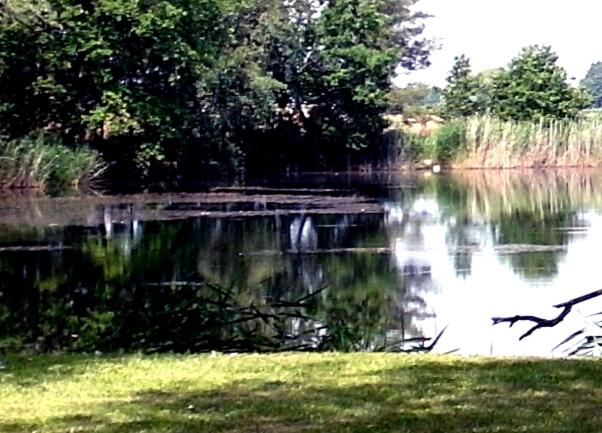 Apartment with Lake View photo 2