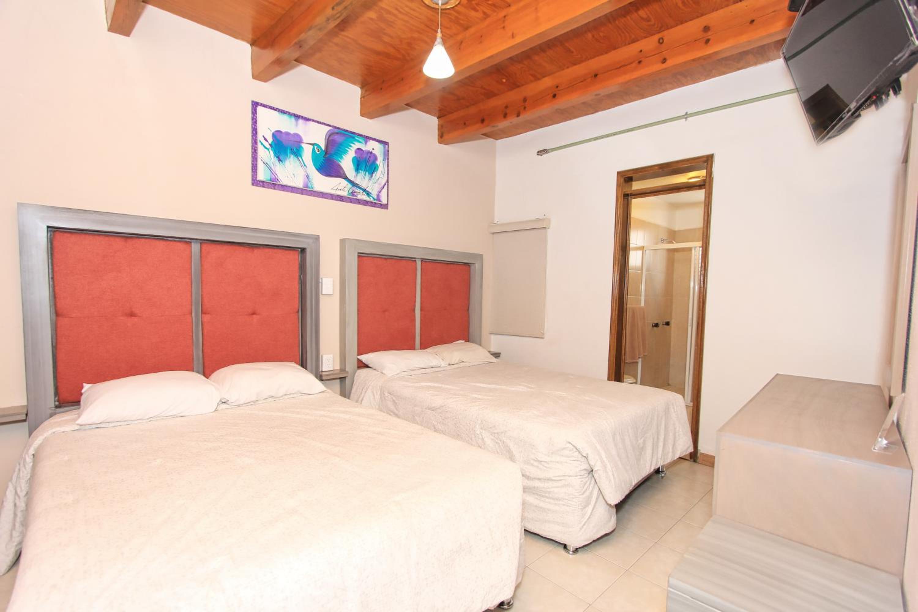 Twin Room - Photo 10