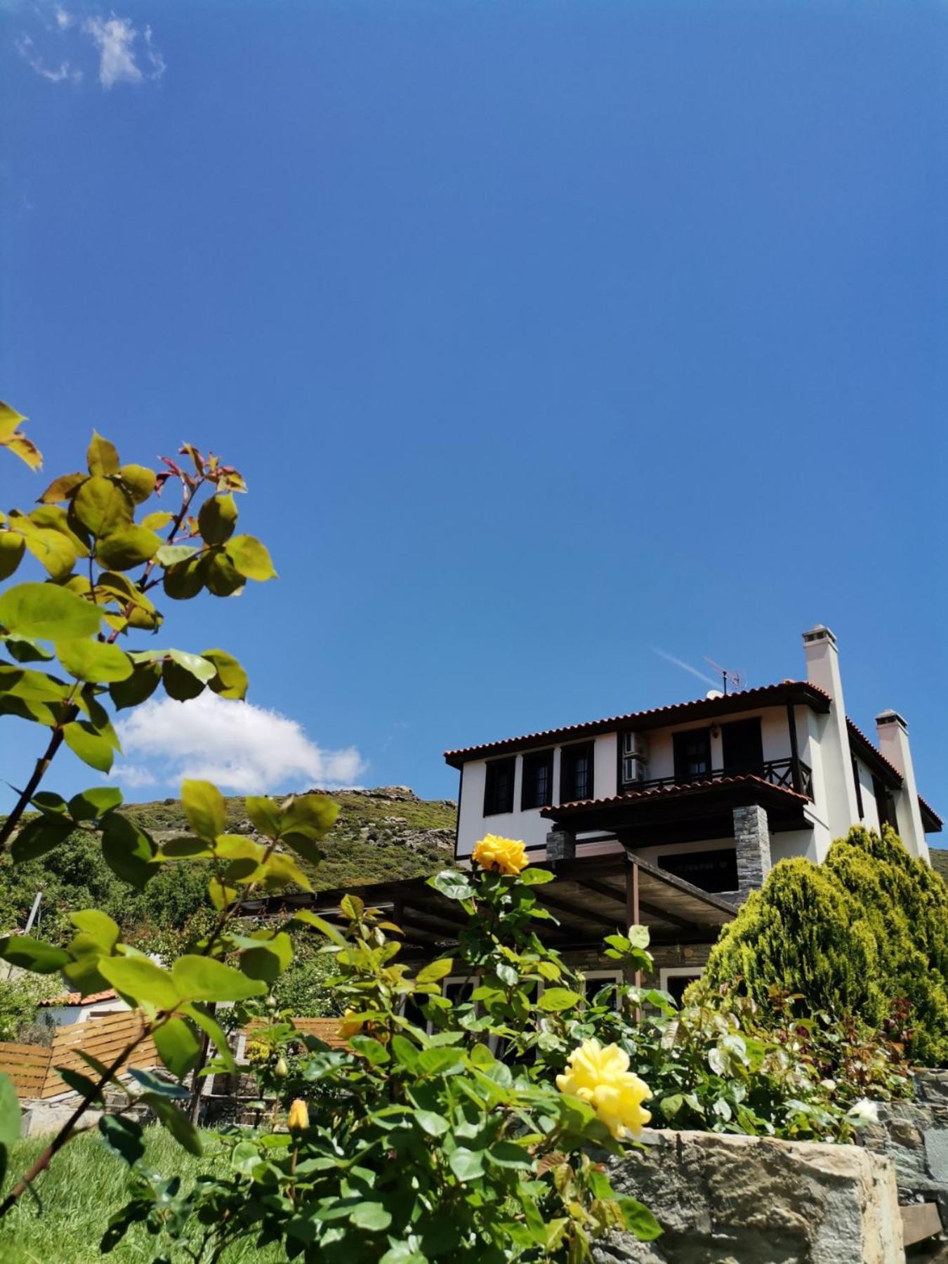 Deluxe Villa photo 3
