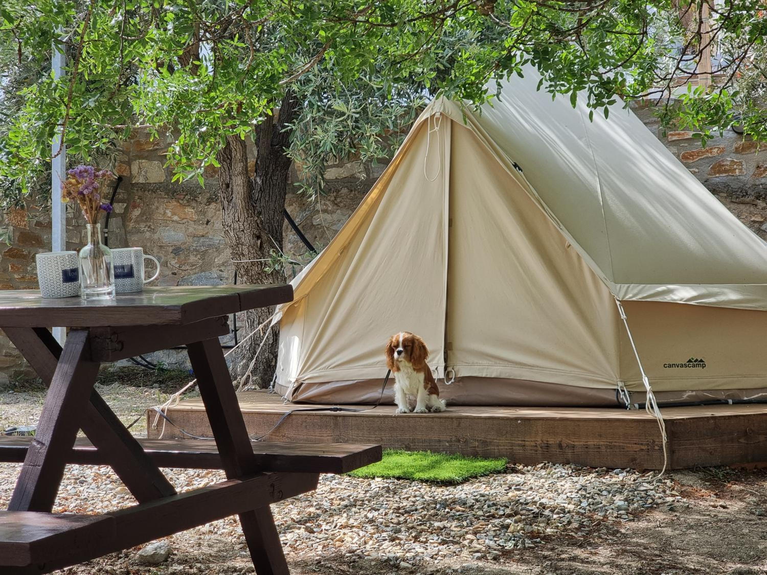Tent photo 3