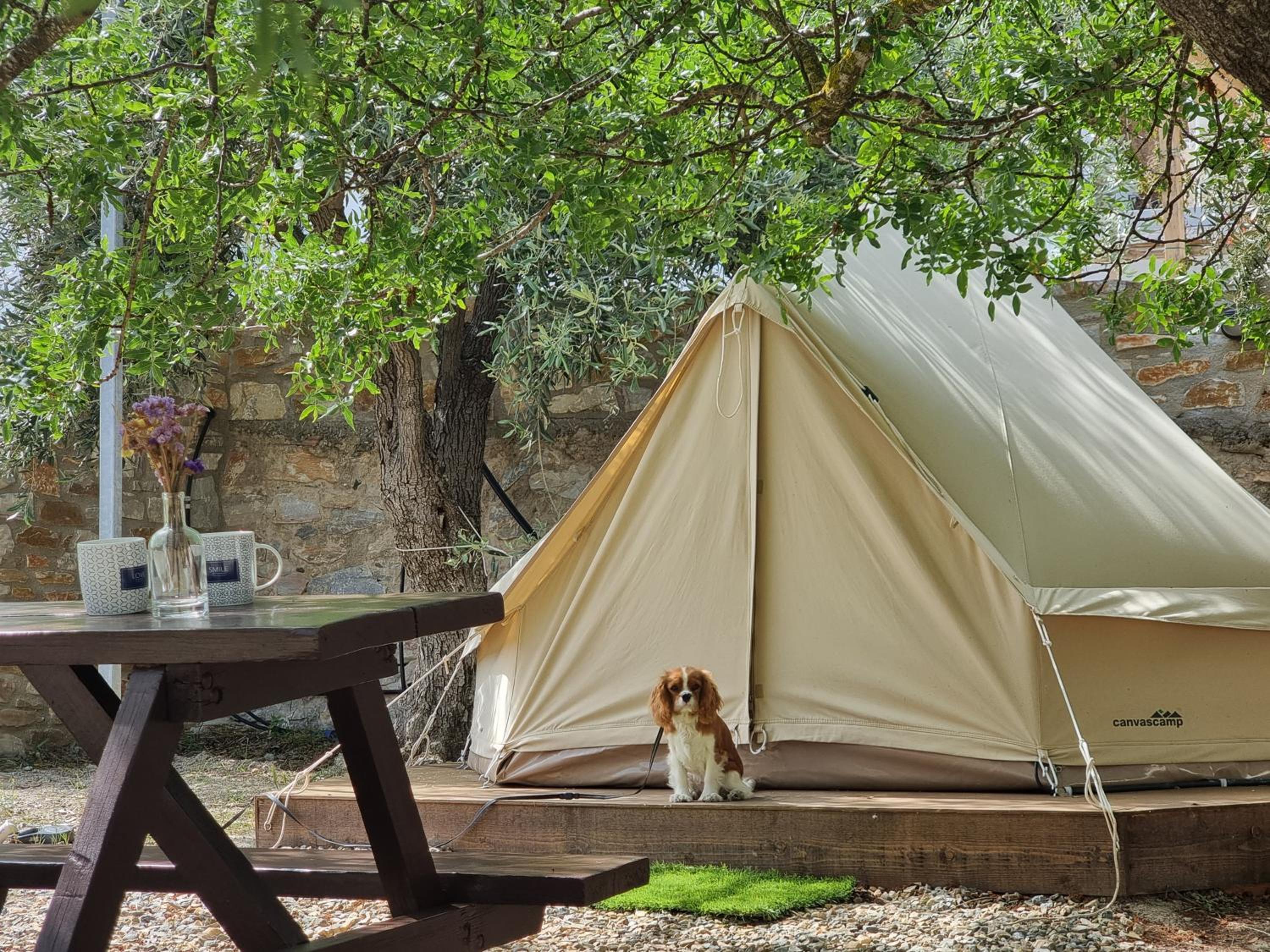 Tent photo 2