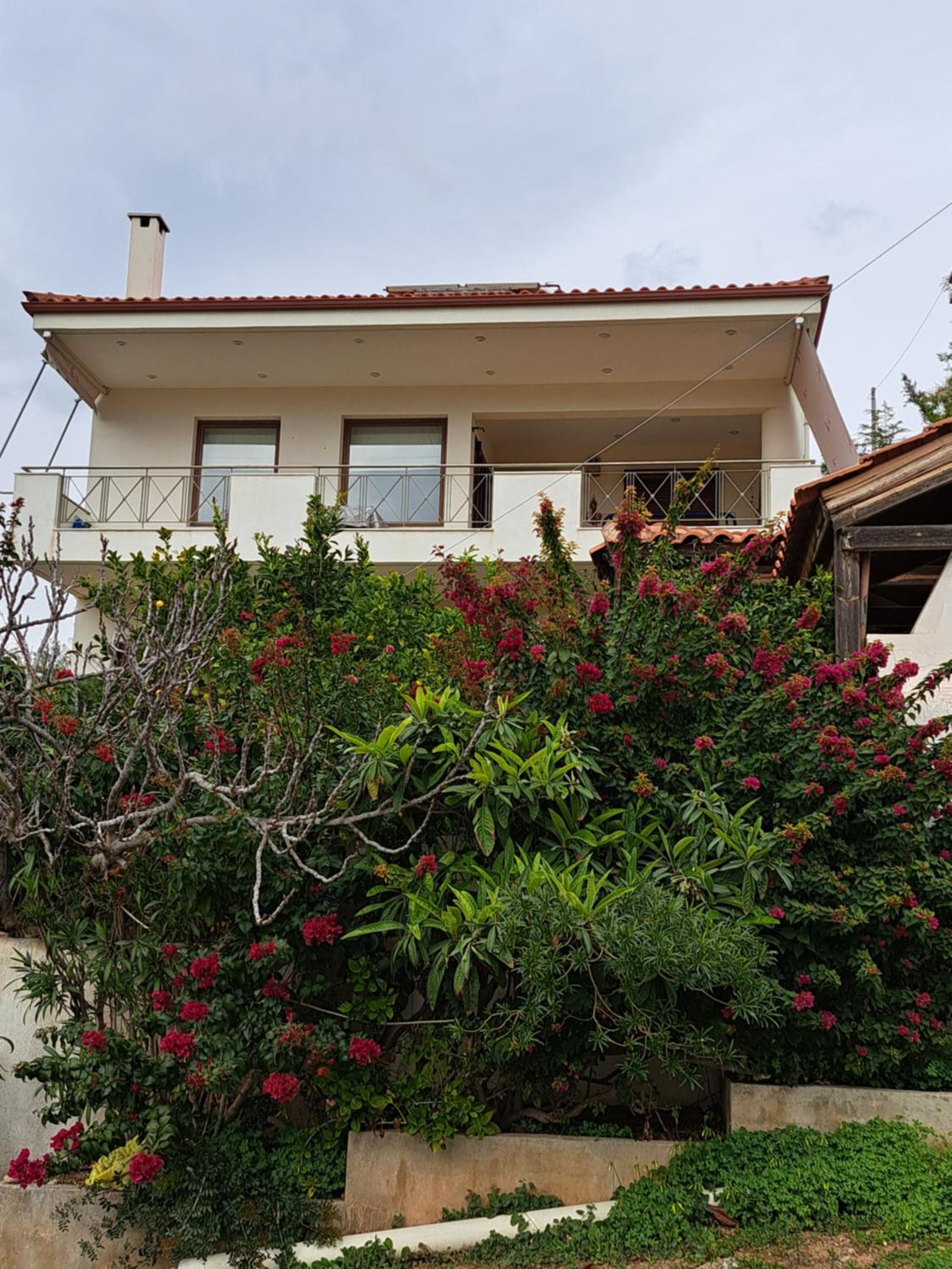 Three-Bedroom House photo 2