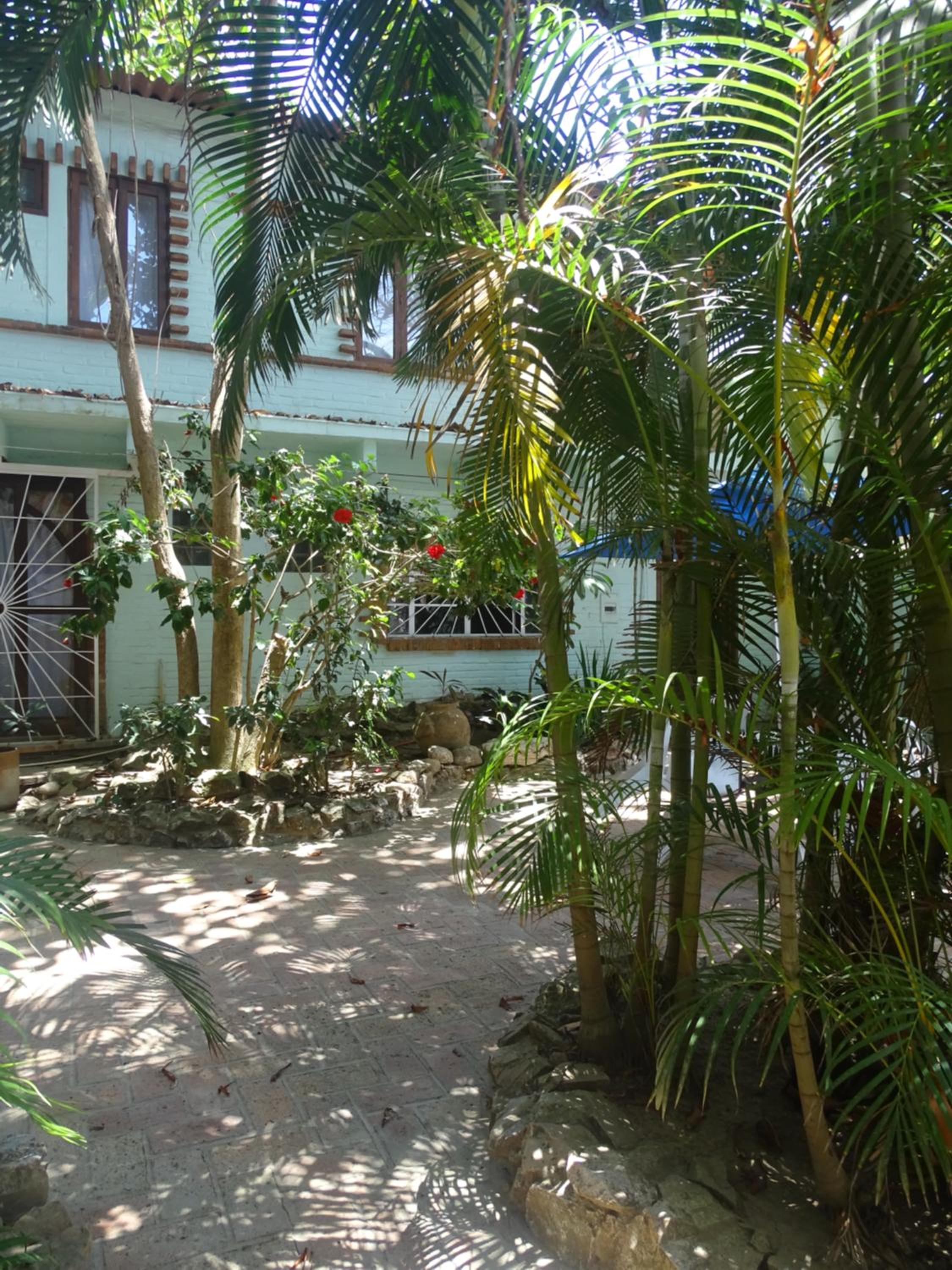 Studio with Garden View photo 3