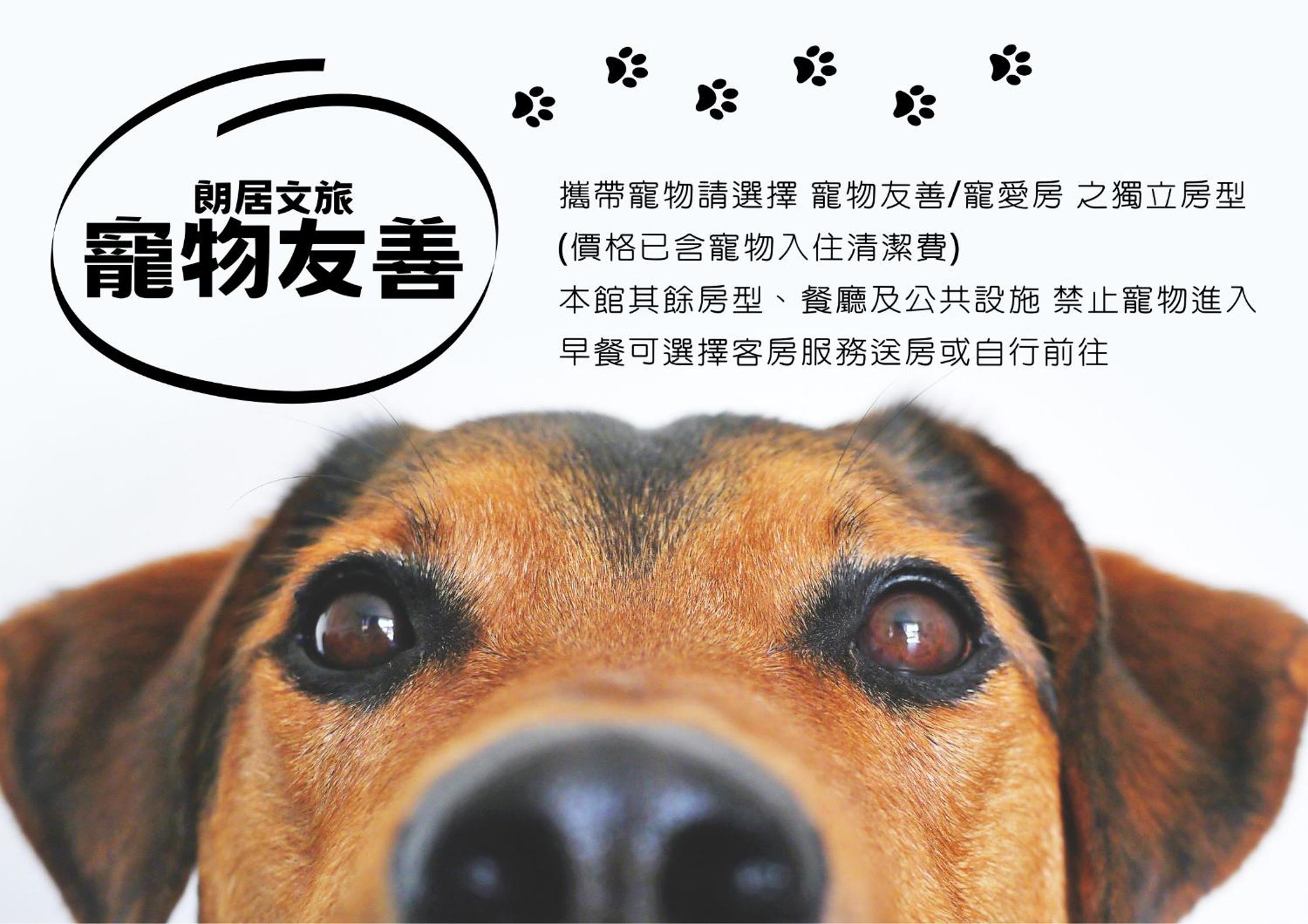 Pet Friendly Double Room - Photo 6