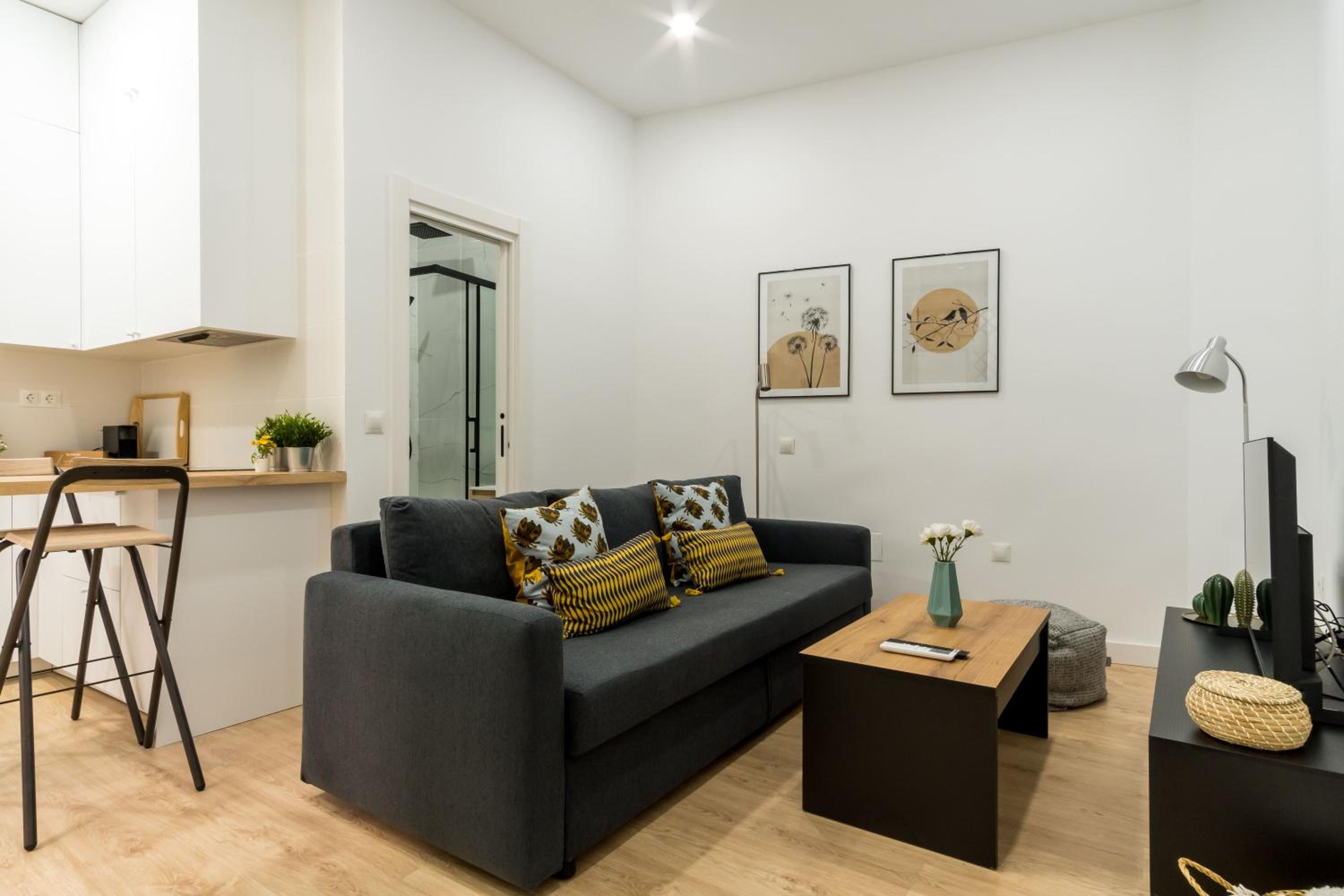 Apartamento de una habitación
