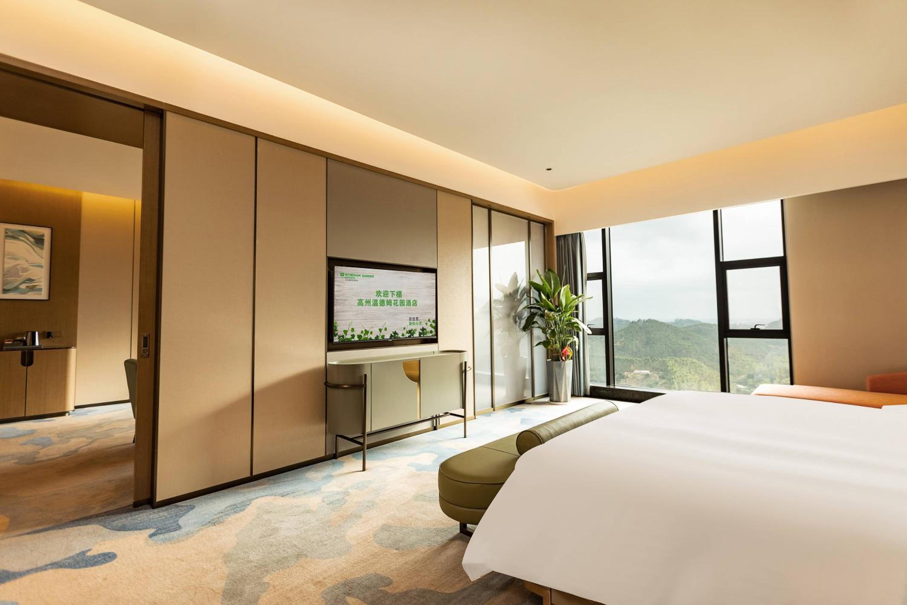Deluxe King Suite with Mountain View photo 3