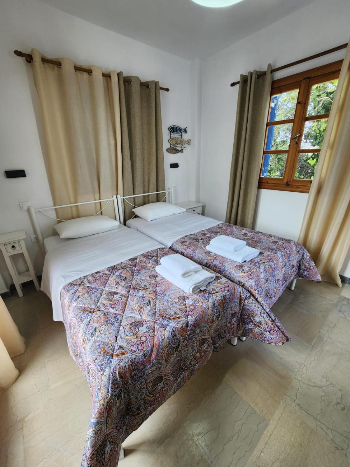 Twin Room photo 2