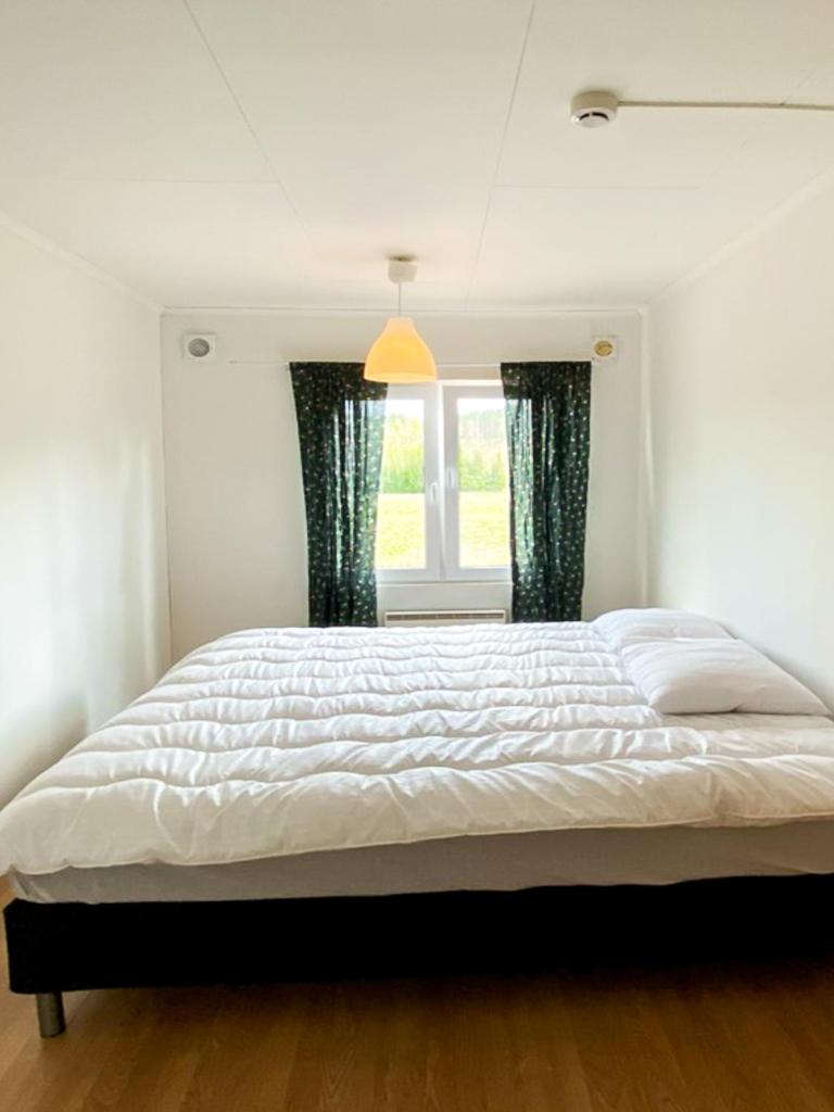 Large Double Room photo 2