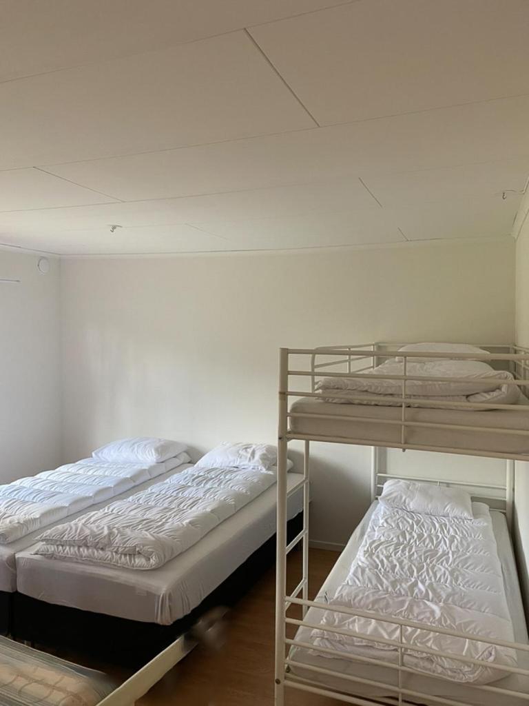 Comfort Quadruple Room photo 3