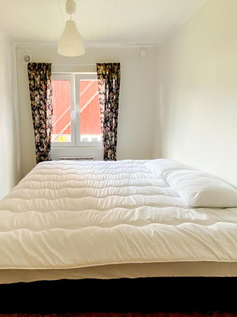 Large Double Room photo 2