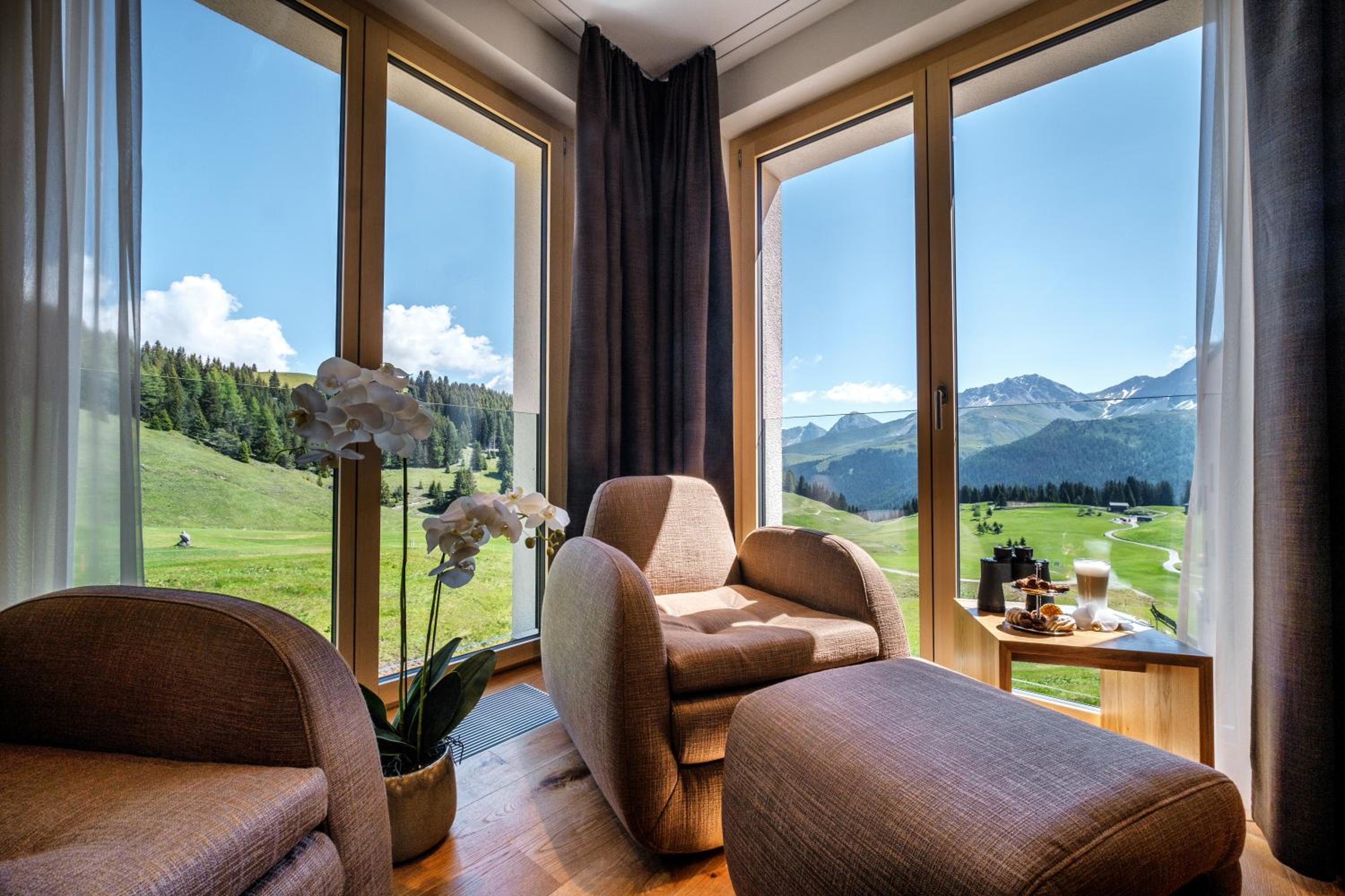 Suite - Photo 2