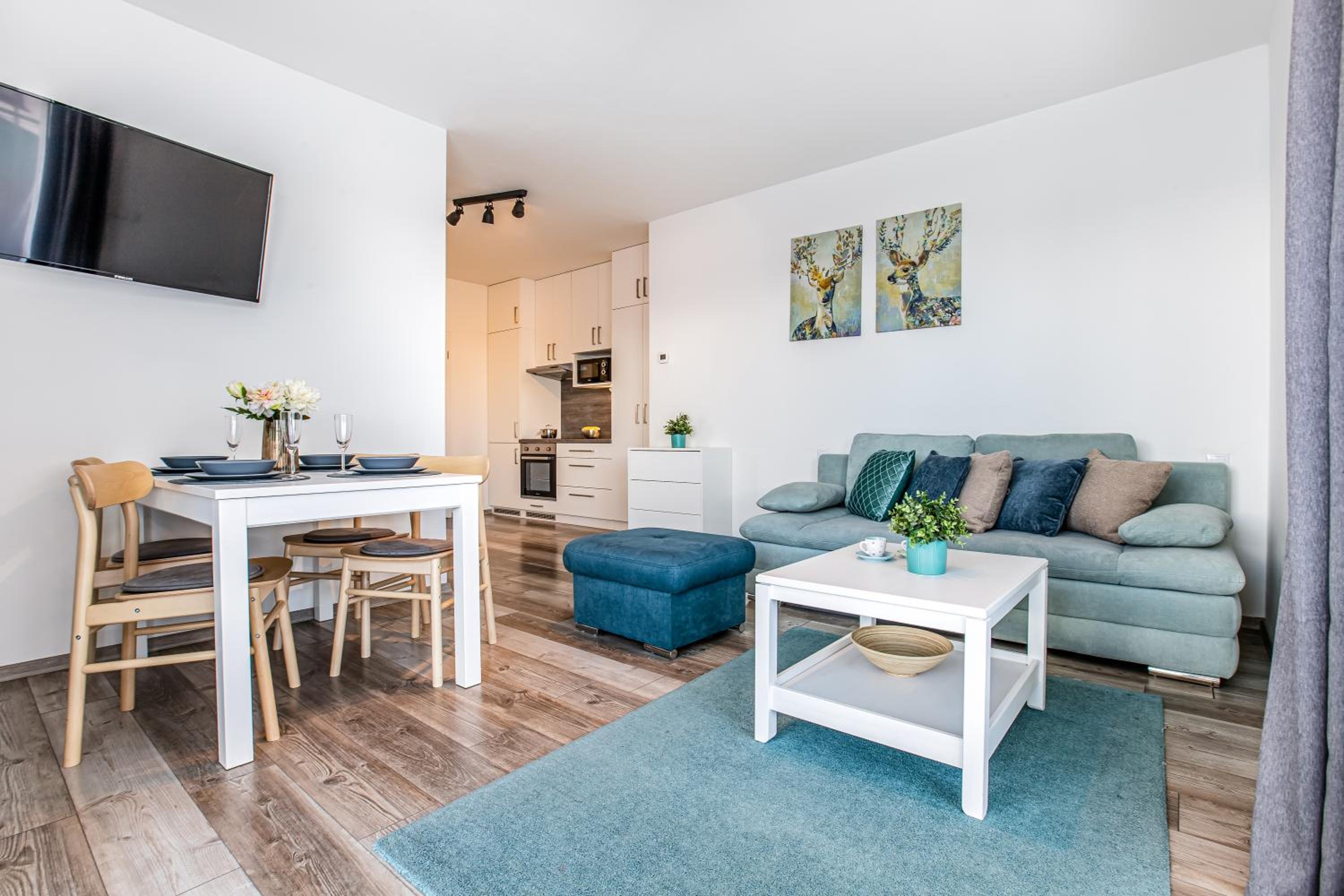 Studio Apartment