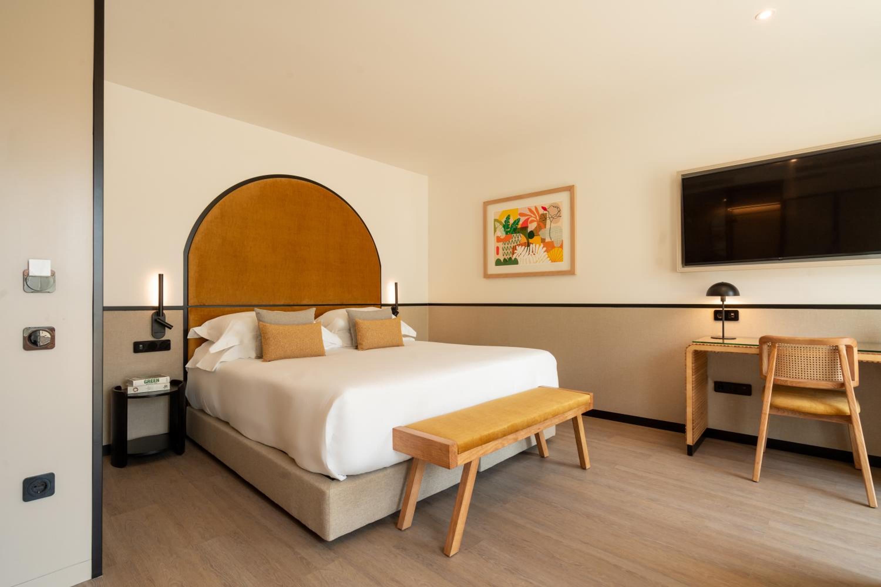 Suite - Photo 1