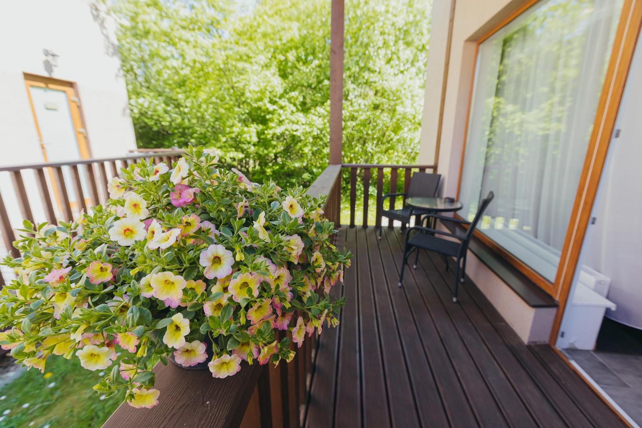 Family Room with Terrace - Photo 3