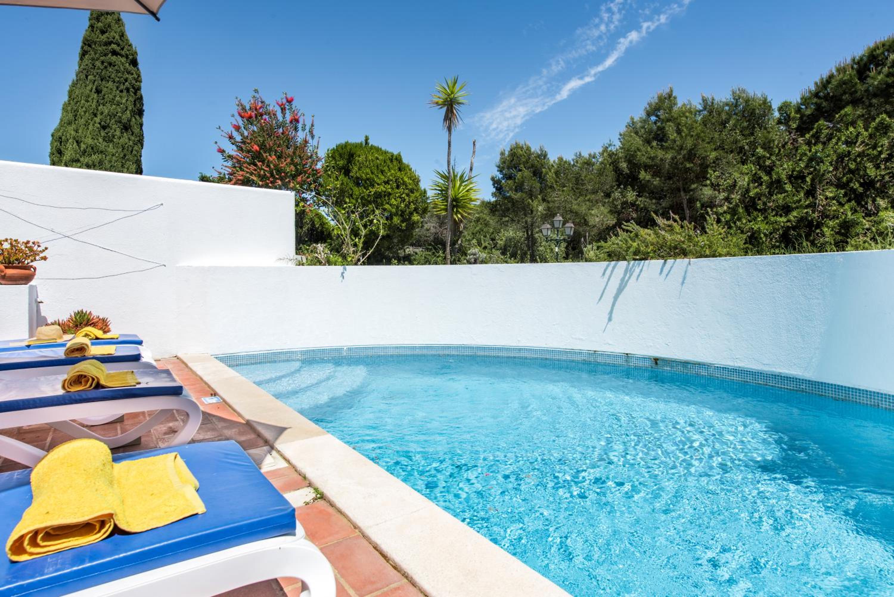 Villa with Private Pool photo 3
